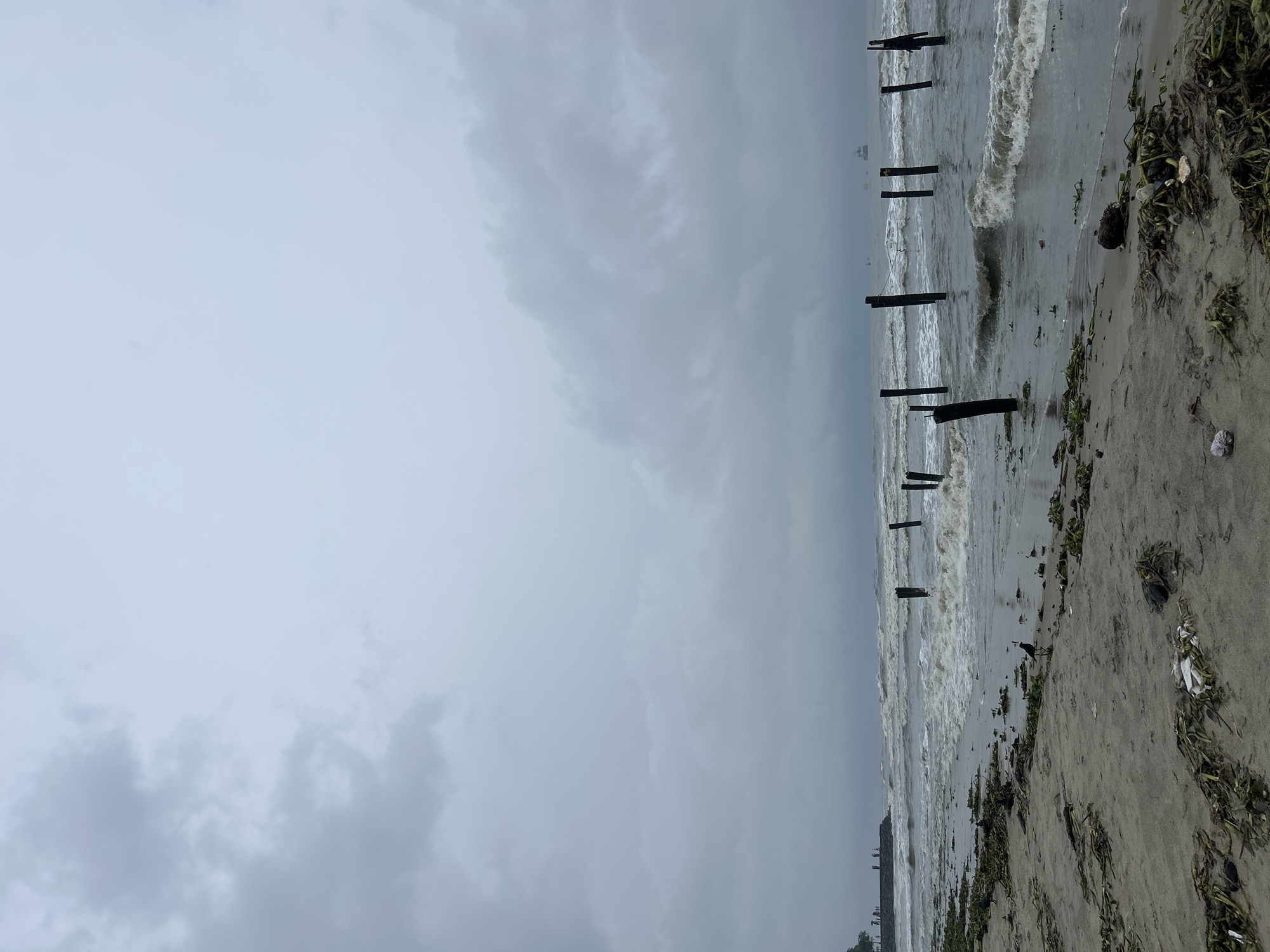 This is a landscape image capturing a coastal scene on an overcast day in Kochi, India. The sky, occupying roughly the top two-thirds of the frame, is filled with dense, grey, and white clouds, indicating a heavily overcast weather condition. The light is diffused and soft.
The bottom third of the image depicts the meeting point of the sea and a sandy beach. The sea itself is a dark, turbulent grey-blue, with moderate waves breaking and churning into white foam as they approach the shore. Several weathered, dark wooden posts are partially submerged in the shallow water, appearing as remnants of a groyne or old pier, stretching diagonally from the mid-ground towards the distant horizon.
The sandy beach on the right side of the frame is a light greyish-brown, interspersed with patches of dark green and brown seaweed and other natural debris washed ashore. Some indistinct litter, possibly plastic or a shell, is also visible on the sand. In the far distance, along the horizon, faint outlines of what might be distant ships or coastal structures can be vaguely discerned.
No people are clearly visible in the image. There is no visible text. The overall atmosphere is serene yet somewhat sombre, reflective of the cloudy weather and natural, untamed coastal environment.