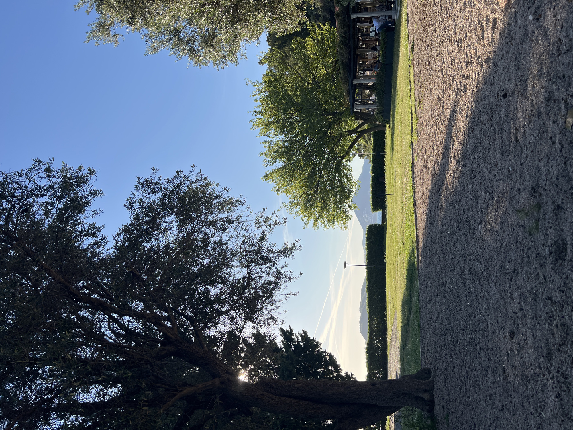 A landscape photograph, rotated 90 degrees clockwise, captures a serene outdoor scene, likely in a park or resort garden at Sveti Stefan, Montenegro.
In the foreground, a large, dark-leaved tree dominates the lower left, its rough trunk and dense branches silhouetted against the bright sky, with glimpses of sunlight peeking through its foliage. To the right of the tree, a wide, textured gravel or pebbled path stretches from the bottom towards the upper right of the frame. Long shadows, indicative of either morning or late afternoon sunlight, are cast across this path.
Adjacent to the path on its left is a neatly manicured green lawn, bordered by a well-trimmed hedge that runs horizontally across the mid-ground. Above the hedge, a distant mountain range or large hills are visible. Further to the right, a vibrant green tree stands prominently, partially obscuring an outdoor dining area. This area features white structural elements, tables, and several people seated, enjoying meals or conversation.
The background is dominated by a clear, bright blue sky, adorned with several thin white contrails, suggesting aircraft activity. A lone street light or utility pole is discernible above the hedge on the left. The overall lighting is warm and sunny, creating a pleasant and inviting atmosphere. No text is visible in the image.