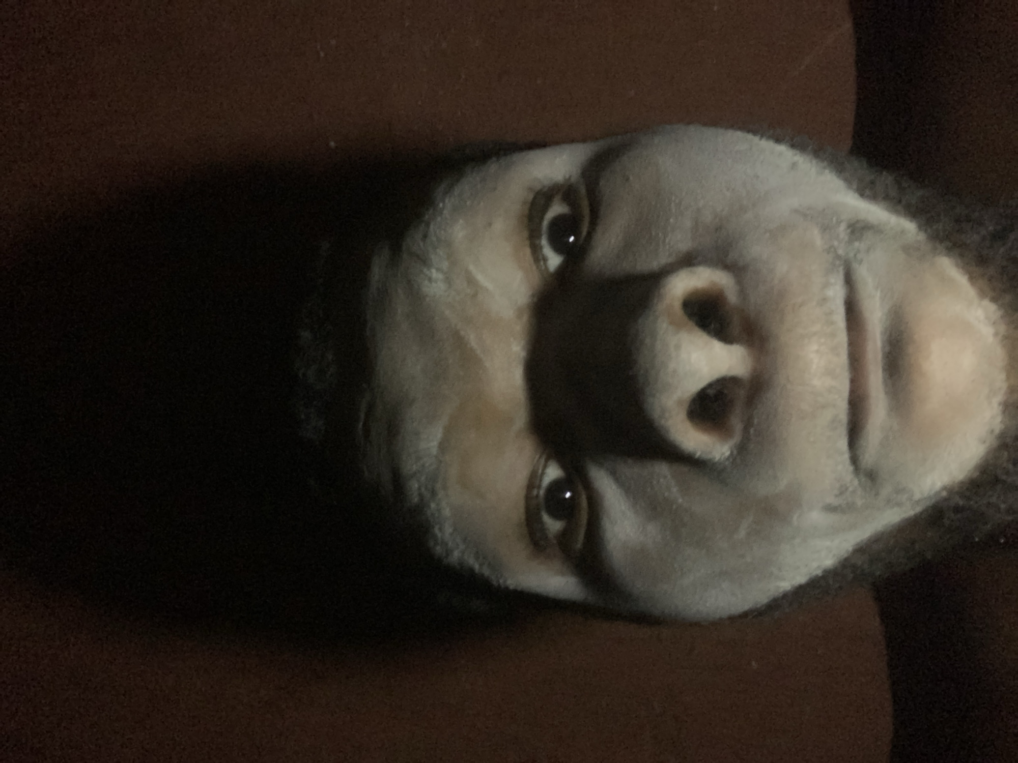 A close-up photograph shows a person's face covered in a white substance, possibly a face mask or powder. The face is turned slightly to the side, with the eyes looking directly at the viewer. The lighting is dim, with a significant portion of the image in shadow on the left side. The background appears to be a dark brown or black surface. There is no evidence to indicate this photo was taken in Onitsha, Nigeria.