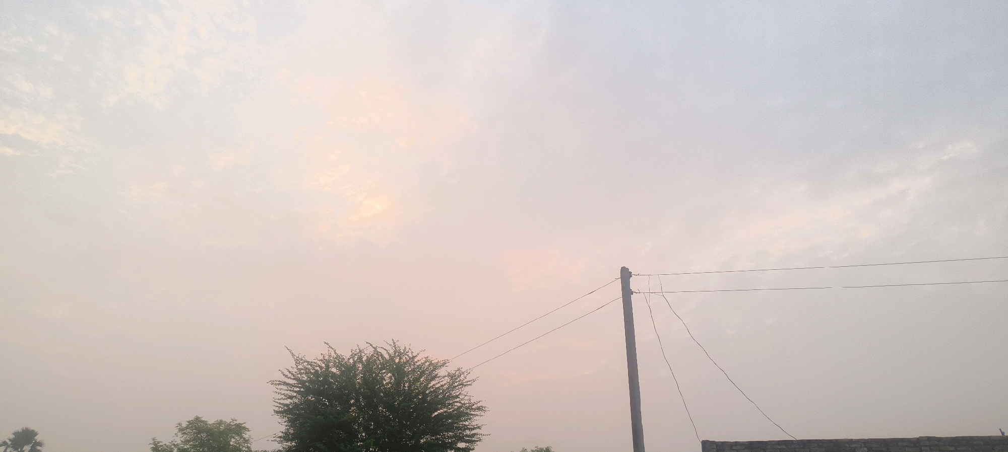 A low-angle, wide shot captures a hazy, pale sky with diffused sunlight filtering through scattered clouds, creating a soft, warm glow. In the lower half of the frame, a silhouette of a bushy green tree is visible on the left. A solitary, slender utility pole stands vertically in the middle right of the image, supporting three thin wires that stretch horizontally across the sky. The base of the pole is obscured, and to the right of the pole, a low, dark brick wall runs along the bottom edge of the frame. The overall scene suggests an outdoor environment, possibly in Bandra, India, given the atmospheric conditions and visible infrastructure. There are no people or animals visible in the image.