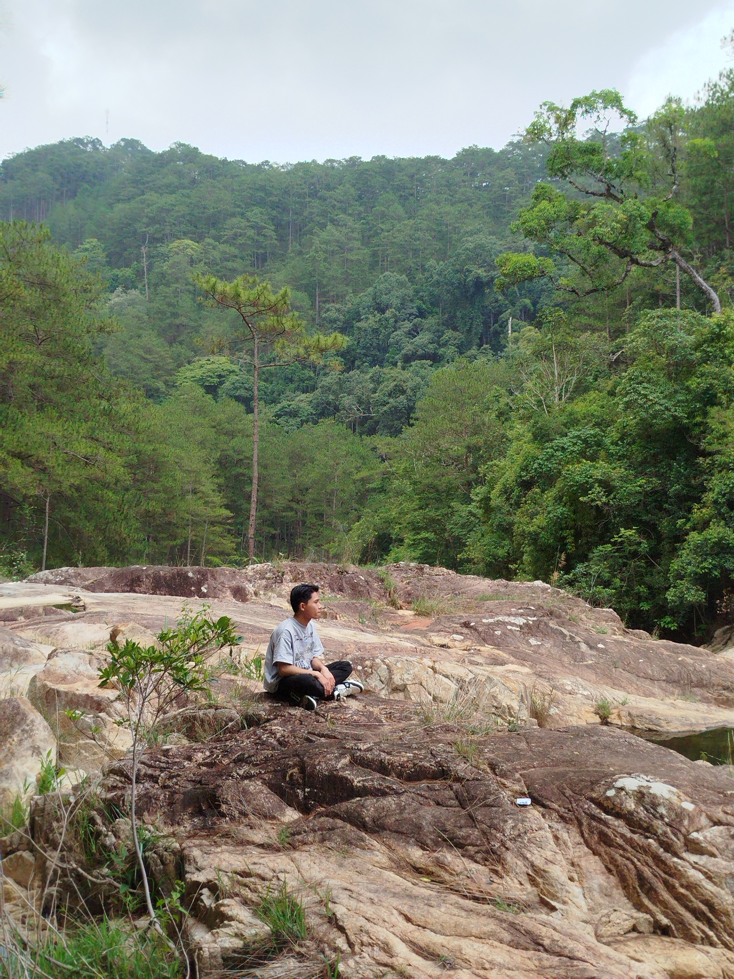 A young man sits contemplatively on a large, weathered rock formation within a dense, verdant forest in Păng Tiêng 1, Vietnam. He has dark hair and is wearing a light grey short-sleeved t-shirt with a faint graphic design, dark pants, and white and black sneakers. He is seated cross-legged, facing right and looking into the distance, appearing relaxed or pensive.
The immediate surroundings consist of extensive, multi-toned rock formations in shades of brown, grey, and light tan, showing natural textures and patterns. Small patches of green grass and sparse leafy vegetation, including a prominent small bush in the lower-left foreground, grow between and on the rocks. A small, dark pool of water is visible in the lower right, partially obscured by the rock.
The background is dominated by a lush, green forest that extends across rolling hills, featuring a mix of tall evergreen trees, like pines, and other deciduous trees. The sky is overcast, suggesting a cloudy day, contributing to the soft, diffused lighting of the scene. A small white object, possibly a vape pod, with faint visible text that appears to be "JUUL," rests on a rock in the mid-right portion of the image. The overall setting conveys a sense of natural tranquility and solitude.