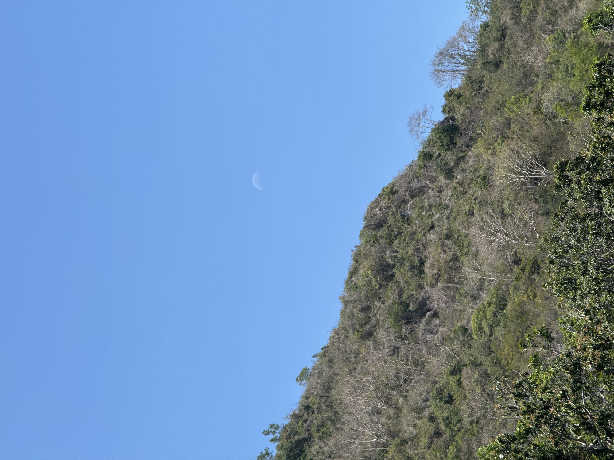 The image shows a clear, light blue sky with a crescent moon visible. To the right of the sky, a mountainside covered in dense vegetation slopes upwards. The vegetation includes a mix of green trees and trees with bare branches. The location is Bac Nha Trang Ward, Vietnam.