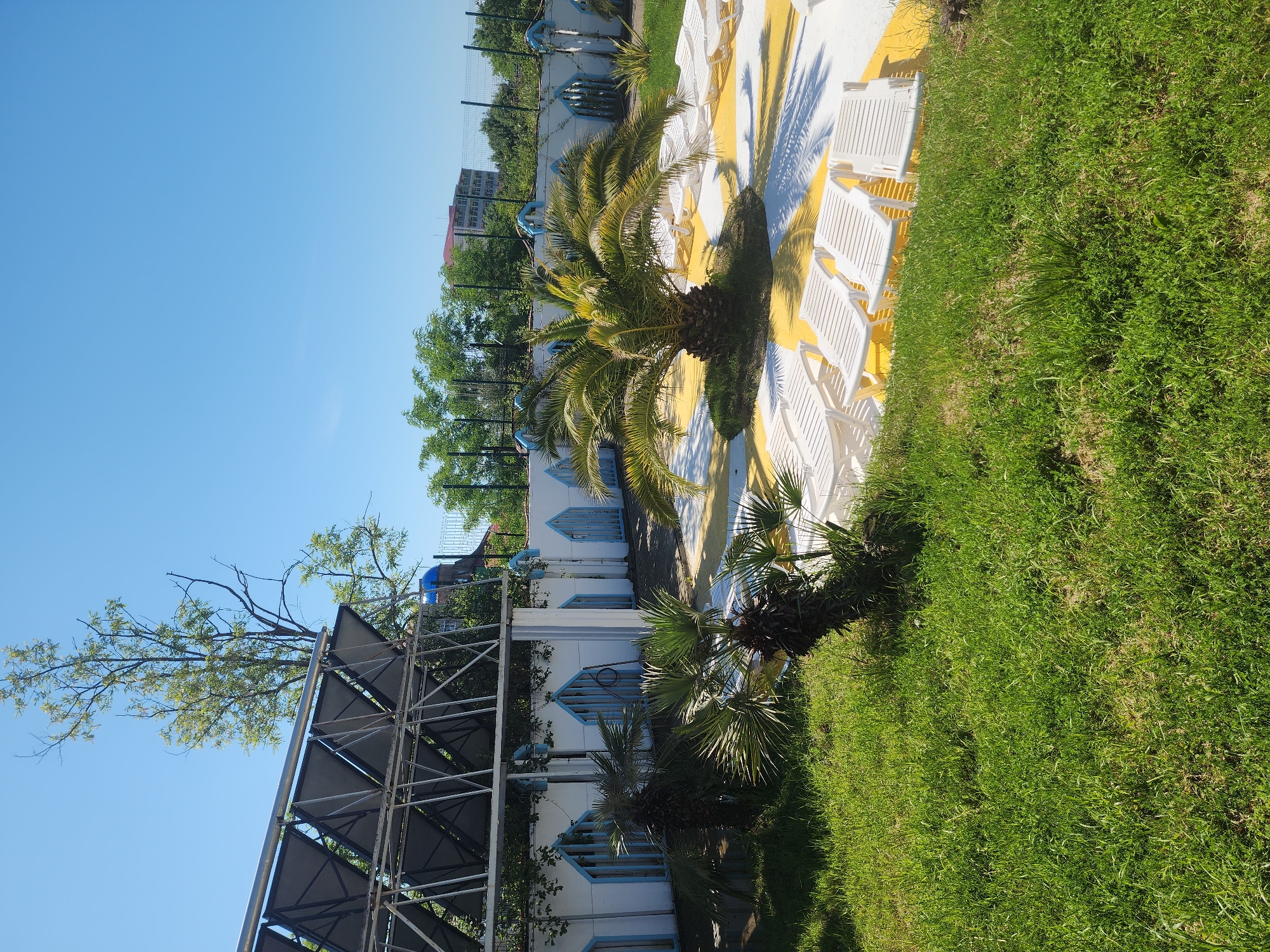 This image captures an outdoor scene at what appears to be a resort or recreational facility under a clear, bright blue sky. The setting is sunny, with strong, defined shadows cast by objects, indicating daytime.
In the center and right portions of the frame, a white building with blue architectural details, such as window frames and balcony railings, is prominent. Several palm trees are scattered around this area, their fronds green and full, contributing to a tropical or sub-tropical ambiance. Adjacent to the building, a paved area with distinct yellow and white stripes serves as a sunbathing zone. Numerous white plastic lounge chairs are arranged on this striped surface, awaiting occupants.
Lush green grass borders the paved area and extends along the foreground and parts of the mid-ground, providing a natural, verdant contrast. On the far left, a large, dark-colored structure with a metal framework, possibly a shading canopy or a large pergola, stands under the sky, with a leafy tree growing behind it.
In the background, beyond a fence and more trees, a multi-story building with a red roof is visible. The scene is devoid of people, suggesting a tranquil moment. There is no specific activity or event taking place, but the setup clearly indicates a space designed for relaxation and leisure. No text is visible in the image. Given the context of Sochi, Russia, this scene likely depicts a resort or hotel ground, common in the region known for its warm climate and recreational offerings.