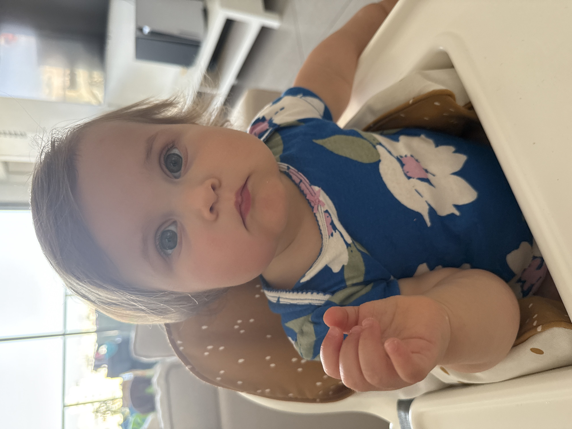 The image, originally rotated 90 degrees counter-clockwise, depicts a baby sitting upright in a white high chair, looking directly at the camera. The baby has light brown hair and wide blue-grey eyes, with a neutral to slightly curious expression. They are dressed in a blue short-sleeved top featuring white and pink floral patterns with green leaves, and a pink and white frilly trim around the neckline. A brown cushion with white polka dots supports the baby within the high chair. One of the baby's small hands is visible, lightly curled. The background shows natural light filtering through a window, revealing window frames and reflections of an outdoor scene. Beyond the window, parts of a white shelving unit and a dark screen (likely a television or monitor) are visible. The setting is an indoor space, characteristic of a home, illuminated by daylight. The photograph captures a calm, candid moment of the baby. No text is visible.