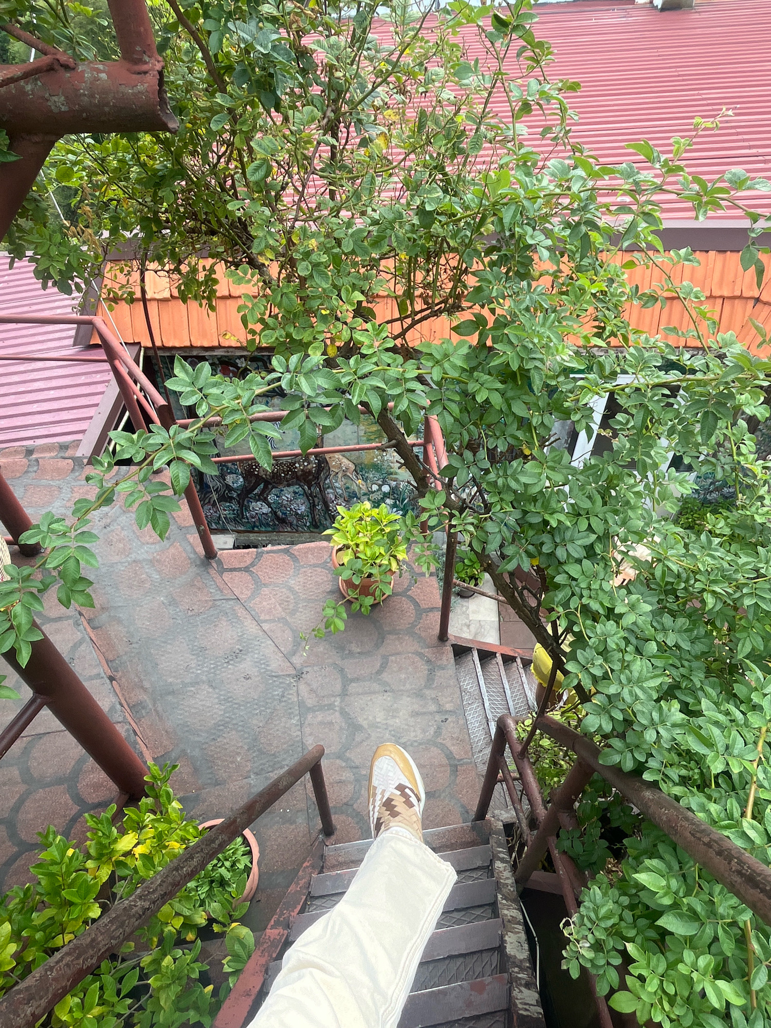 The image shows a person's legs and feet standing on a metal staircase, viewed from above. The person is wearing white pants and a patterned sneaker. The staircase is surrounded by lush green foliage and branches of a tree. In the background, there are red-tiled roofs, and a wall decorated with a tapestry depicting deer. The ground is paved with interlocking bricks. The setting appears to be an outdoor area, possibly a garden or patio, with a distinct urban backdrop. There is no explicit indication of the city of Khartsyz Pervyi, Russia in the image itself.