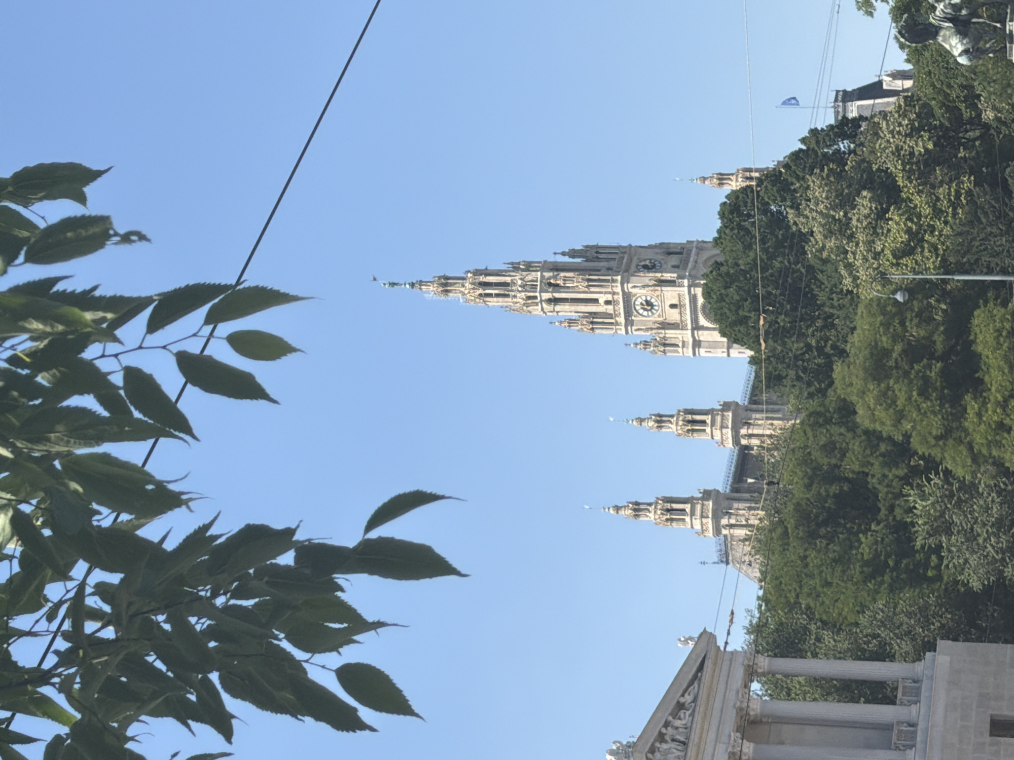 The image captures a view of the Vienna City Hall (Rathaus) in Vienna, Austria, on a clear day. In the foreground, a branch with green leaves hangs from the top of the frame, partially obscuring the sky. The iconic Rathaus tower, a prominent Gothic Revival building, stands tall with its distinctive spires and a clock face visible. Several other smaller towers and architectural elements of the Rathaus complex are also visible. The buildings are situated amidst lush green trees, suggesting a park or garden setting surrounding the city hall. To the left, a portion of another grand building with classical columns and sculpted friezes is visible, likely part of the Ringstrasse ensemble. A dark wire stretches diagonally across the upper right portion of the image. In the background, a small blue flag is visible on a building. A statue of a horse and rider is partially visible in the lower right corner of the image.