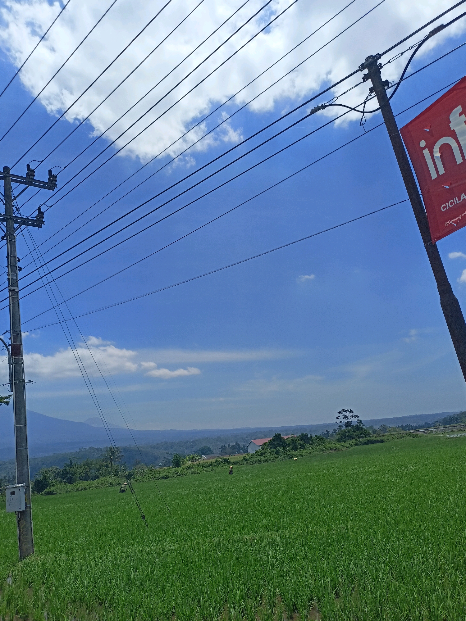 The image depicts a bright, sunny day in Kalijoso, Indonesia, with a vast expanse of lush green rice paddies filling the foreground. The sky is a brilliant blue, dotted with fluffy white clouds. A network of electrical wires stretches across the frame, supported by utility poles. One pole on the right displays a red banner with white lettering, partially visible, that appears to be a sign. In the distance, rolling hills covered in trees and vegetation create a scenic backdrop, with a mountain range faintly visible on the horizon. Two figures, likely farmers, are present in the rice fields, one appearing to be working among the crops, and the other further away. A small building with a red roof is nestled amongst the trees on the left side of the distant landscape. The overall scene conveys a sense of rural tranquility under a clear sky.