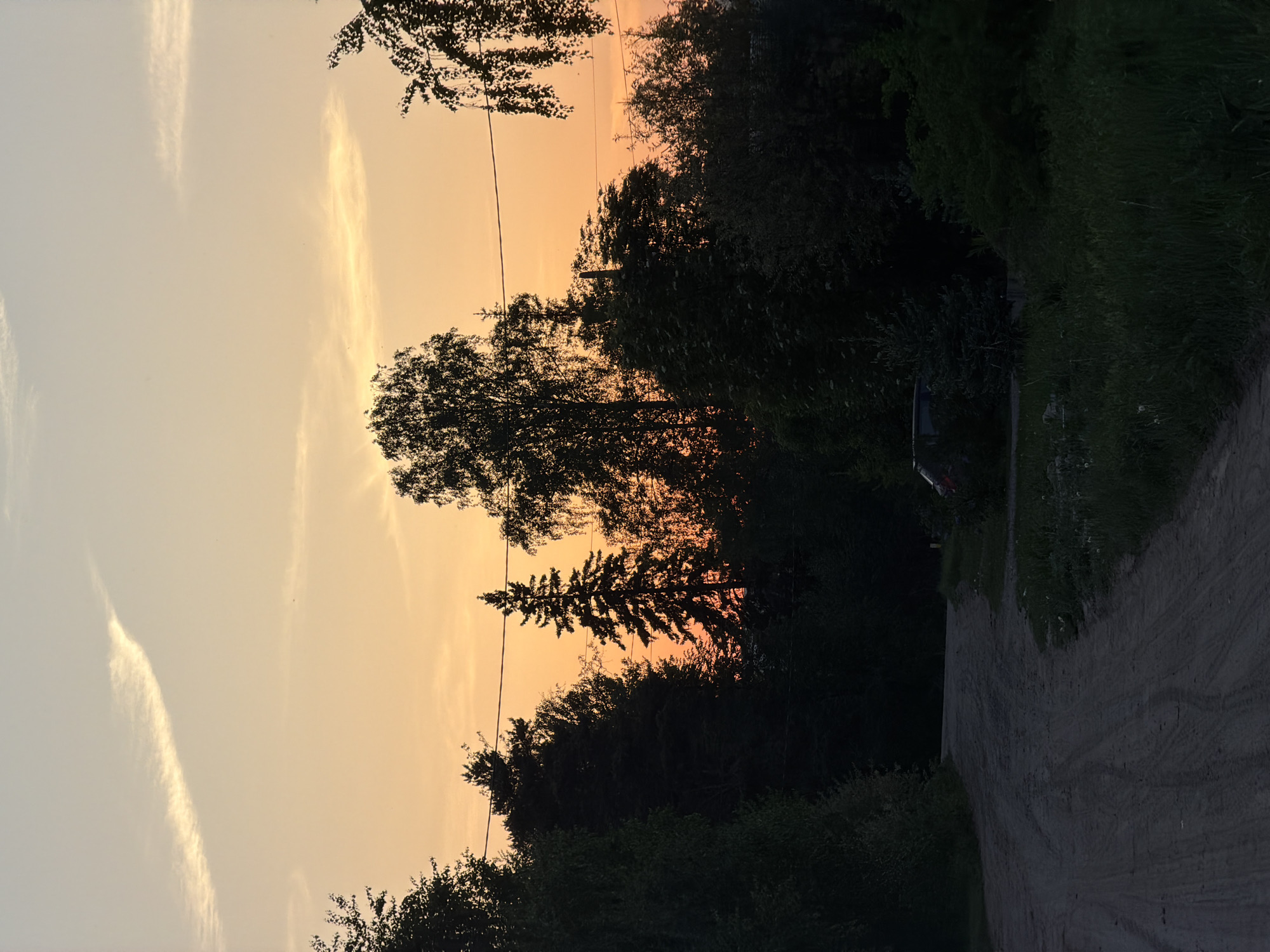 A landscape photograph depicts a dirt road on the right side, leading into a dark, heavily wooded area. The sky is a gradient of light orange to pale yellow, likely indicative of dawn or dusk. Silhouetted trees and foliage line the horizon, contrasting against the brightly lit sky. An electrical wire is visible traversing the sky, bisecting the silhouetted tree line. While the exact location cannot be determined definitively without additional information, the image aligns with the general landscape of Chaikovsky, Russia, which features forests and open fields. There are no discernible people visible in the photograph.