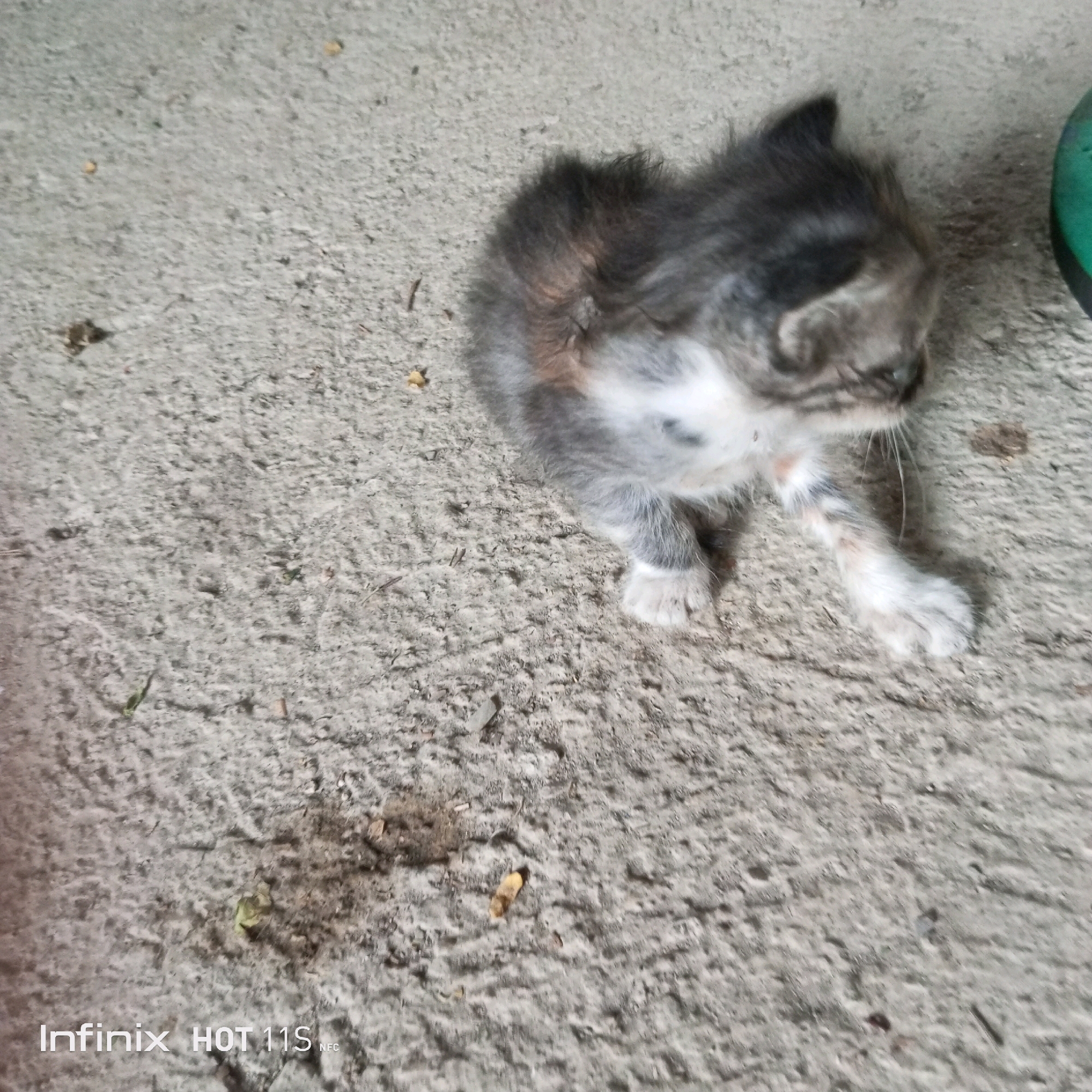 A very young, fluffy kitten lies on a coarse, grey, concrete surface. The kitten is primarily grey with patches of white and reddish-brown fur. It appears to be looking to its right. A blurred green object is visible in the upper right corner of the image, partially obscuring the kitten. The background is the concrete surface, which has some small debris, including what appears to be dried leaves and small pebbles. The bottom left corner of the image displays "Infinix HOT 11S NFC" in white text. The scene appears to be outdoors, possibly in an alley or yard.
