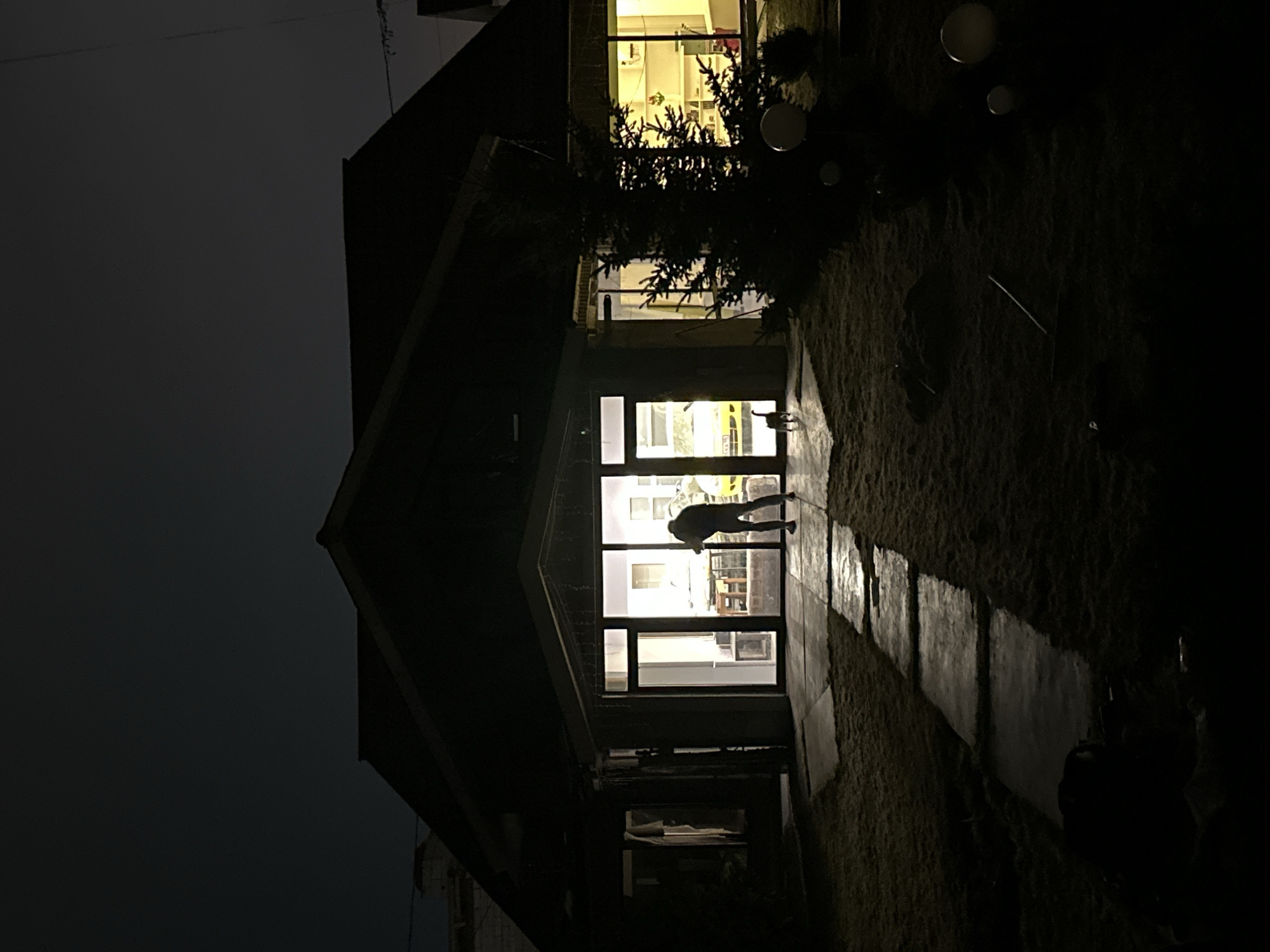 Here is a description of the image:
The image shows the exterior of a multi-story building, likely located in an urban environment, at night. The building has multiple windows that are illuminated, contrasting with the darkness of the surrounding environment. The architecture appears modern, with clean lines and rectangular windows.
Inside the building, a silhouetted figure of a person can be seen through a window, suggesting movement or activity within the structure. The darkness of the scene limits the visibility of other details in the environment, but there appears to be some vegetation along the side of the building, adding depth to the image. The location is provided as Kursk, Russia.