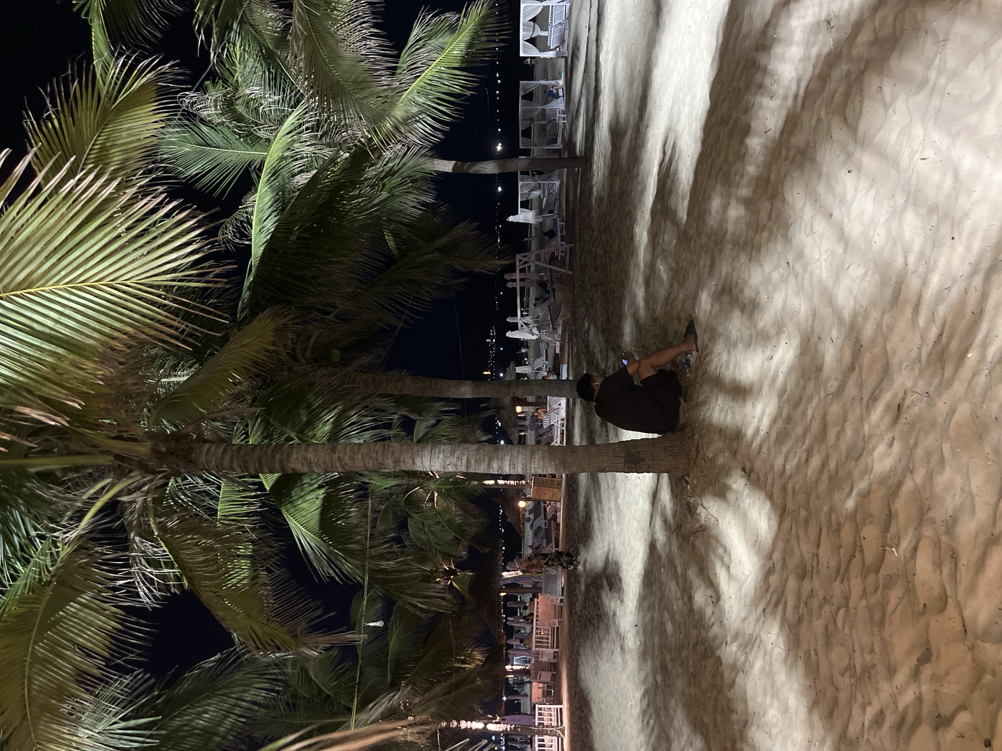 A man is sitting on a sandy beach under palm trees at night in Da Nang, Vietnam. He is wearing a dark t-shirt and shorts, and he is looking down at his phone. The beach is lined with lounge chairs and umbrellas, and there are lights in the background. The scene appears to be at a resort or public beach area.