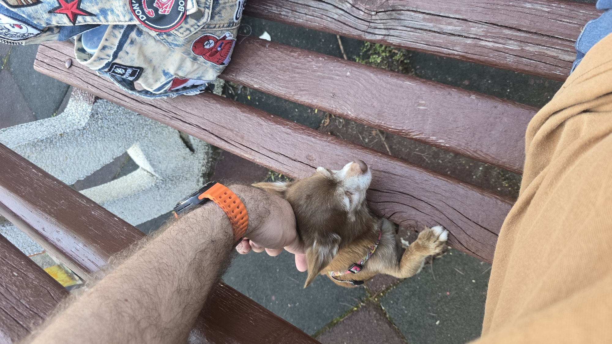 A high-angle shot shows a section of a brown wooden park bench. On the left, a jacket with patches is placed on the bench. A person wearing a brown shirt sits on the right side. A hand with an orange smartwatch holds a small brown and white dog that is lying on the bench. The environment appears to be an urban outdoor setting. The image does not contain enough details to confirm that it's taken in Sofia, Bulgaria.