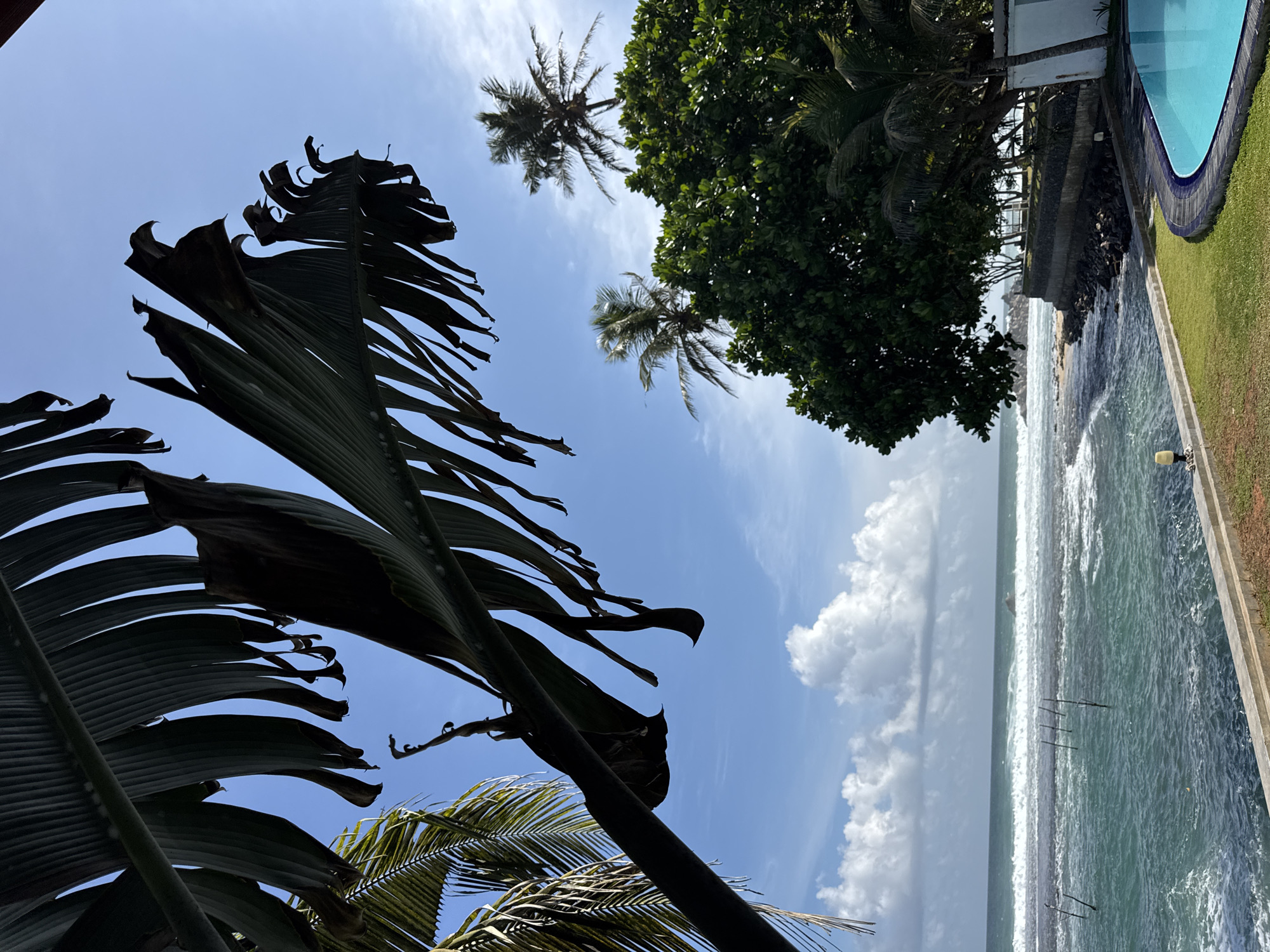 A view of the ocean in Goviyapana, Sri Lanka. The foreground is dominated by large, dark green palm fronds silhouetted against a bright blue sky with scattered white clouds. To the right, a lush green tree with two tall coconut palms rising above it. Further to the right, part of a white building and a bright blue swimming pool are visible. The ocean, a vibrant turquoise, stretches out towards the horizon, with white waves breaking on the shore. Several thin wooden poles are visible standing in the shallow water. The coastline features a rocky embankment and a grassy area with a paved walkway bordering the pool.