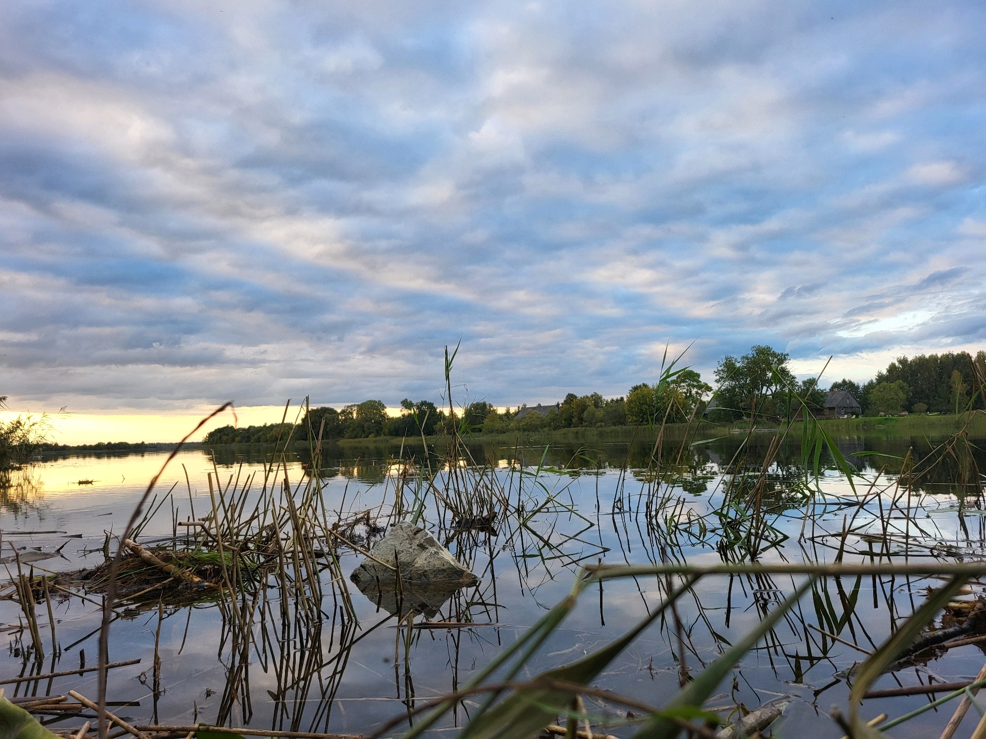 The image depicts a serene lake scene at dusk in Kalnciems, Latvia. In the foreground, dry reeds and debris float on the water's surface, casting reflections. A prominent rock rests among the reeds, its reflection clearly visible. The middle ground features the calm lake, reflecting the overcast sky and the distant treeline on the opposite bank. The treeline is dense with various trees, and a few buildings are visible nestled within the foliage. The sky is filled with soft, diffused clouds, with a sliver of golden light from the setting sun breaking through on the left horizon. The overall atmosphere is tranquil and natural.