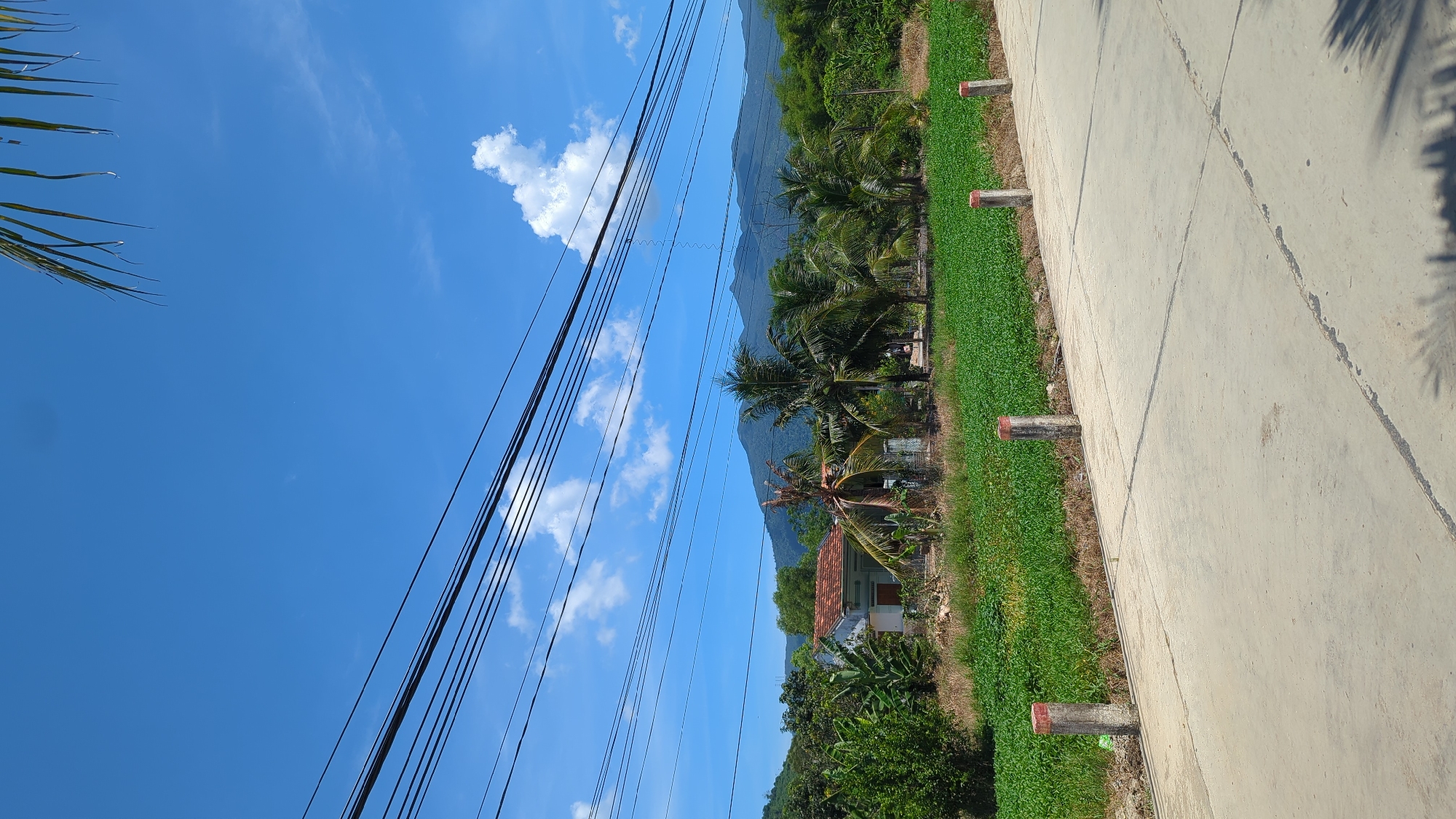 The image captures a rural scene in Ninh Ích, Vietnam, under a bright blue sky with scattered white clouds. A paved road occupies the foreground, marked by faint lines and some debris. Along the edge of the road, several concrete posts with red tops act as markers. Beyond the road is a field of vibrant green vegetation, likely crops. In the middle ground, a small house with a terracotta tiled roof is visible, surrounded by lush greenery and palm trees, some appearing weathered. In the background, a range of green, tree-covered mountains forms a natural backdrop. Overhead, a series of power lines stretches across the frame, contributing to the rural, residential atmosphere. The overall impression is one of a quiet, sun-drenched day in a developing area.