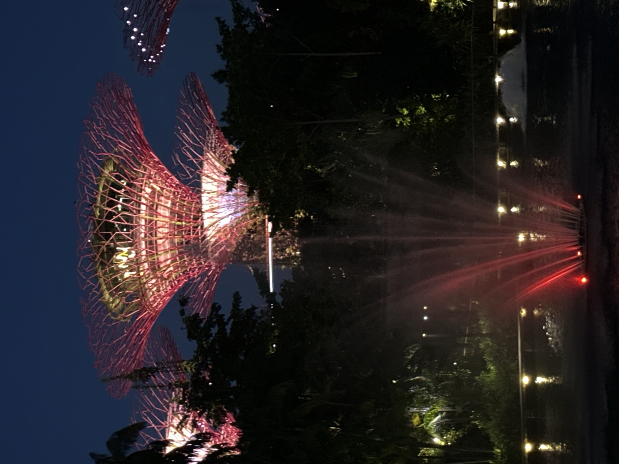 The image depicts the Supertrees at Gardens by the Bay, Singapore, at night. The Supertrees, iconic vertical gardens, are illuminated with vibrant pink and red lights, creating a striking contrast against the dark blue night sky. Their intricate, tree-like structures are visible, with a latticework of branches and canopy.
In the foreground, a fountain is spraying water, illuminated by red lights, adding a dynamic element to the scene. The water creates a misty effect. The surface of the water reflects the lights of the fountain and the surrounding environment.
Behind the fountain and Supertrees, lush dark green foliage and trees are visible, silhouetted against the illuminated structures and the night sky. Scattered lights can be seen within the trees and along a walkway or railing in the mid-ground, suggesting a park or garden setting. The overall atmosphere is one of nocturnal beauty and futuristic architectural design integrated with nature.