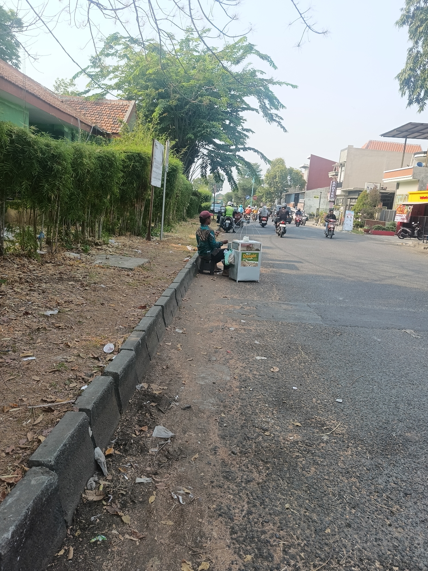 The image depicts a street scene in Wedi, Indonesia, on a clear, sunny day. In the foreground, a woman wearing a patterned shirt and a red cap sits on a small stool beside a white food cart. The cart has a sign with text in Indonesian, indicating it is selling food. The ground around the cart is a mix of dirt, dry leaves, and some scattered litter. A concrete curb separates the sidewalk from the asphalt road.
The road itself is populated with several motorcycles, some carrying passengers. The traffic appears moderate. On the right side of the road, there are various buildings, including a store with a yellow awning and another building with a red sign that reads "APOTEK" (pharmacy). Lush green bamboo plants line the left side of the street, behind the woman and the food cart, creating a visual barrier. The background shows more buildings and trees, suggesting an urban or semi-urban environment. The sky is bright and mostly clear, with a few wispy clouds.