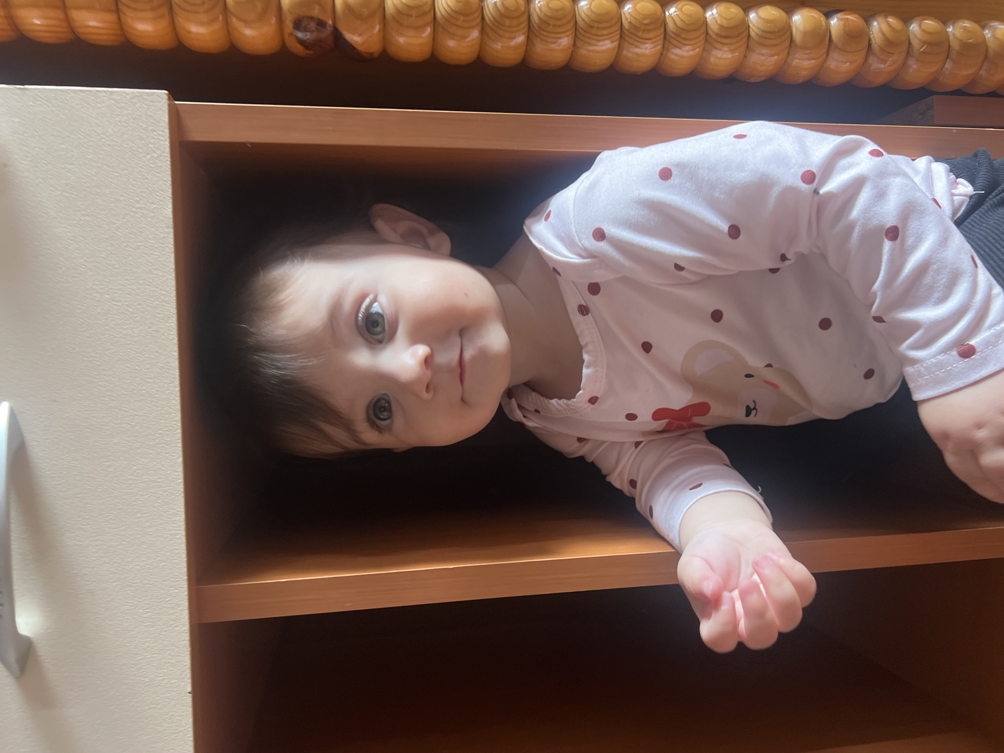 A young child, possibly a toddler, is lying in a wooden shelf. The child is wearing a long-sleeved white shirt with red polka dots and a bear graphic. The child's head and upper body are visible. The child's dark hair is visible. The background includes a wooden decorative element at the top. The child appears to be inside furniture with shelves.
There is no information in the image about a location in the city of Elena, Bulgaria.