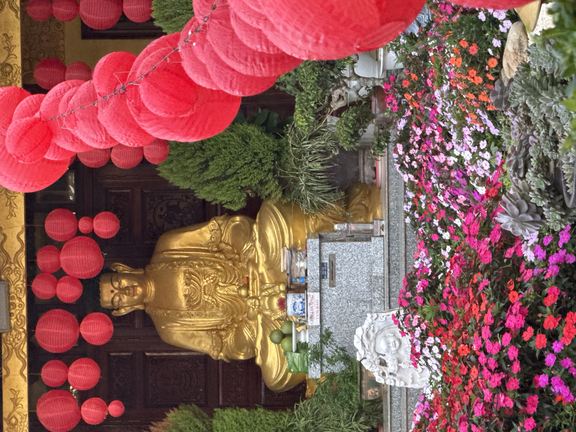 The image depicts the entrance to a Buddhist temple in Da Lat, Vietnam. A large, golden Buddha statue sits centrally, adorned with offerings on a granite pedestal. Red lanterns of various sizes are strung above and around the entrance, creating a festive atmosphere. In the foreground, a vibrant display of colorful flowers, primarily pink and red impatiens, is abundant, with succulents and a stone carving of a child visible among them. The temple's wooden doors and ornate golden trim are visible behind the Buddha. The scene is well-lit, suggesting daytime.