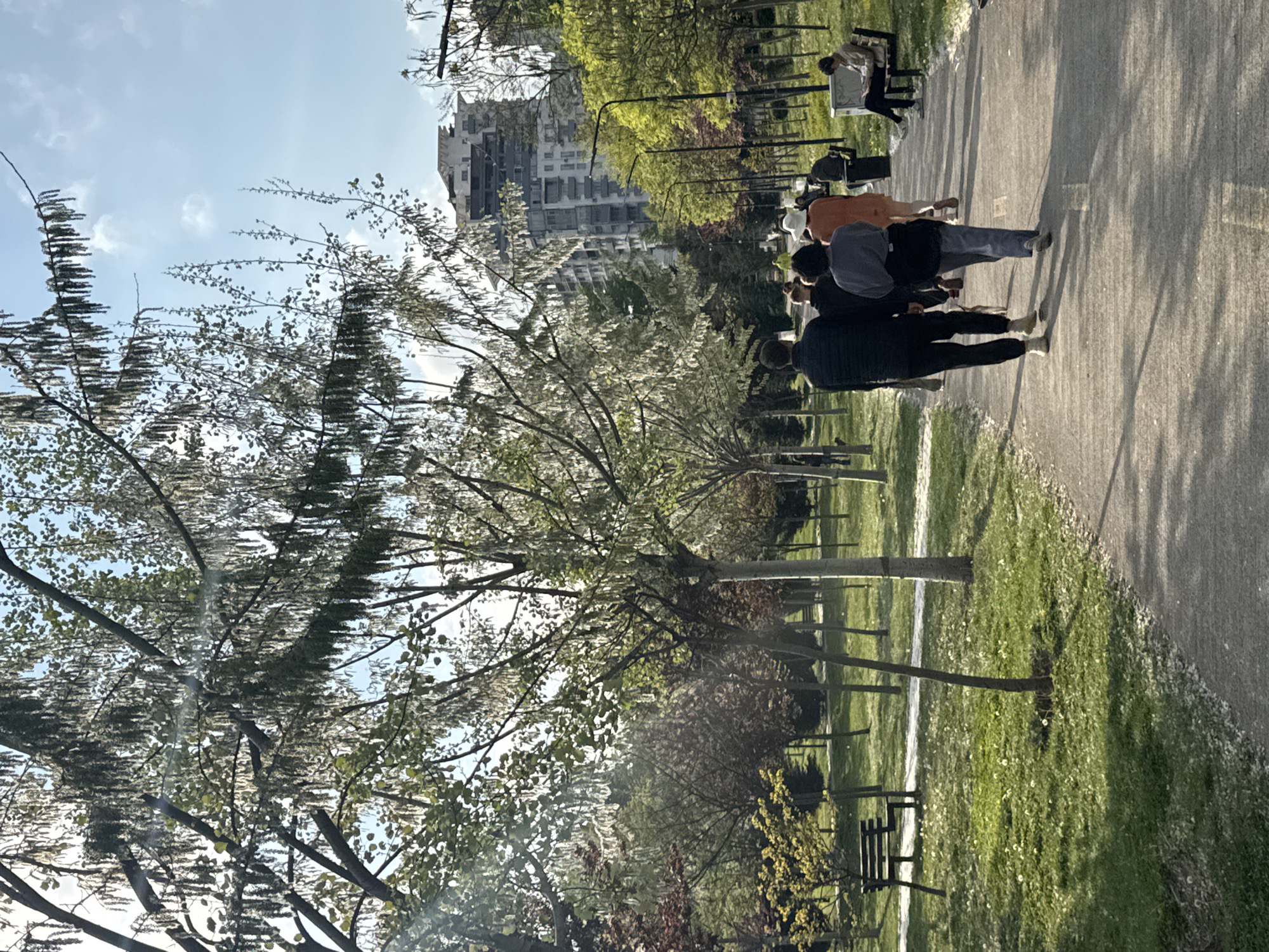 This media file captures a bright daytime scene in what appears to be an urban or suburban park. A paved path runs through the park, leading towards the background where a distinctive, large, modern building with a complex, multi-tiered facade stands prominently.
In the foreground and midground, numerous trees with varied foliage dominate the view. One large tree to the left features an abundance of delicate white blossoms or light green new leaves, suggesting spring. Other trees display vibrant green leaves, while some in the distance have hints of reddish foliage. The ground is covered with lush green grass, dotted with small white flowers, possibly daisies. Several dark park benches are visible along the path and in the grassy areas.
A group of approximately 5-6 casually dressed individuals are walking along the paved path, generally facing away from the camera. In the far background, another person is seen sitting on a bench. The activity suggests a leisurely stroll or relaxation within the park.
The sky is mostly clear with scattered white clouds, indicating fair and sunny weather. Bright sunlight casts noticeable shadows on the path and grass, suggesting it is either morning or late afternoon. No specific emotions are discernible from the distant figures, and no text is visible in the image. The combination of green spaces and modern architecture points to a city park setting.