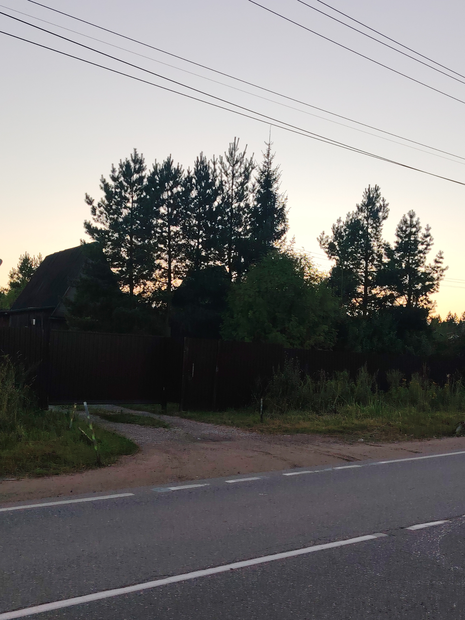 A low-angle, medium shot captures a rural roadside scene at dusk in Lyubava SNT, Russia. The foreground features a paved road with white lane markings, leading towards a dirt driveway that curves to the left. The driveway is bordered by a dark wooden fence and tall grass. Behind the fence, a dark, sloped-roof building, possibly a house, is visible, partially obscured by dense evergreen trees. The trees, predominantly pines, form a silhouetted backdrop against a pale sky transitioning from light blue at the top to a warm yellow-orange near the horizon, indicating the setting sun. Power lines stretch across the upper portion of the frame. The overall atmosphere is serene and quiet, typical of a rural evening.