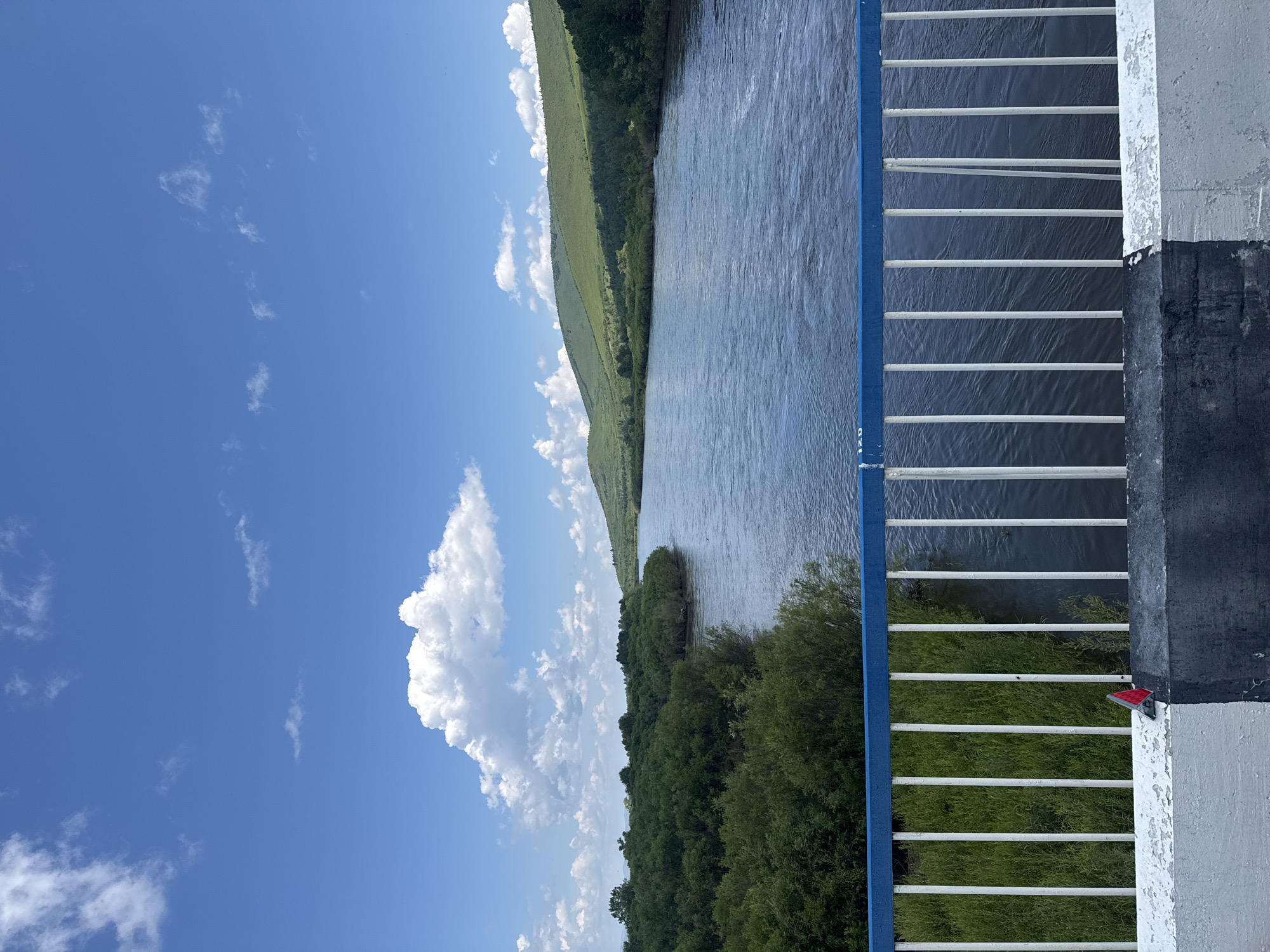 An outdoor, eye-level, wide shot captures a river flowing through a valley under a bright blue sky with scattered white clouds. The foreground is dominated by a white and grey concrete barrier with a blue railing atop it. The railing consists of vertical white bars spaced evenly apart. Beyond the railing, a lush green landscape unfolds, with dense trees lining the riverbanks and rolling green hills in the distance. The river itself is wide and appears to be flowing moderately, with ripples on its surface. The overall impression is one of a serene natural landscape on a sunny day. There are no people or animals visible in the frame.