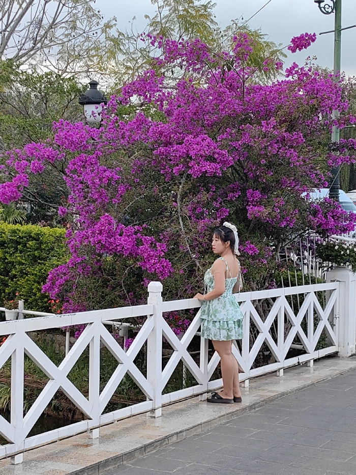 An East Asian female, depicted in profile from the mid-thigh up, stands on a gray paved pathway, facing left, with her right arm resting on a white decorative fence featuring multiple 'X' shaped cross-braces. She is wearing a light green, tiered, floral-patterned mini-dress with thin shoulder straps and dark sandals. A white hair accessory is visible at the back of her dark hair. Behind the female and the fence, a large, dense bougainvillea bush is prominent, covered in vibrant magenta flowers. To the left, a black ornate lamppost with a white floral pattern on its glass enclosure is partially visible through the bougainvillea. Further back, various green trees and shrubs are present, under a light, overcast sky. In the upper right background, elements of what appear to be light-colored vehicles and additional structural details are discernible. The scene is located in a landscaped area, likely a park or garden, within the city of Da Lat, Vietnam.