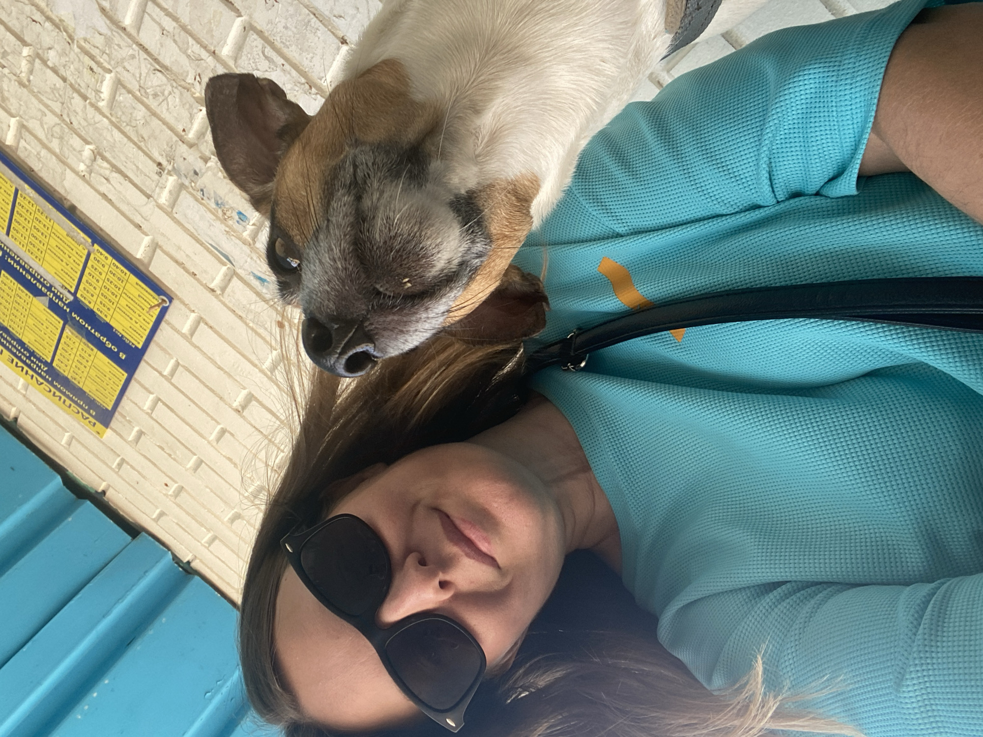 A woman wearing a blue-green, waffle-textured top and black sunglasses is captured in a close-up, possibly selfie-style, image. A dog, with white and brown fur, is resting its head on her shoulder or chest, appearing calm and relaxed. The woman has a slight smile, suggesting a pleasant moment.
The background features a white brick wall and a blue structure, possibly part of a building. Affixed to the brick wall is a yellow timetable or schedule board, displaying text in Cyrillic. The prominent headers include "РАСПИСАНИЕ" (Schedule), "В прямом направлении" (In direct direction), and "В обратном направлении" (In reverse direction). Various times are listed, such as 6:40, 7:05, 8:40, 9:30, 10:40, 12:25, and 13:25, along with "PERC N№1," likely indicating a route number.
The natural light suggests the photo was taken during the daytime. The Cyrillic text on the schedule board serves as a strong location cue, aligning with the context of Noviy, Russia. The scene conveys a warm, affectionate interaction between the woman and her dog.