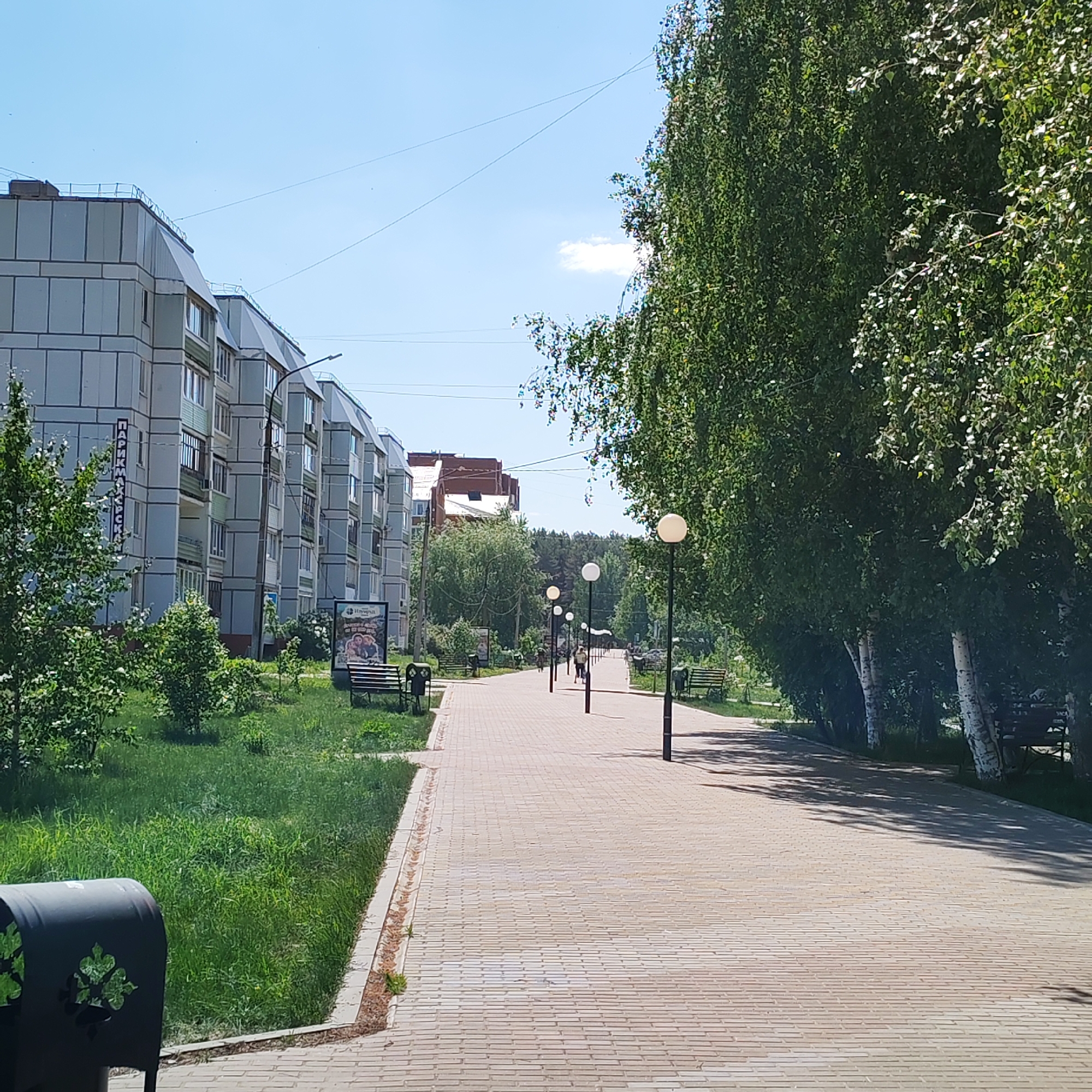 The image captures a pedestrian walkway in Chaikovsky, Russia. The walkway is paved with light-colored rectangular pavers and is bordered on either side by grass, trees, and benches. A row of evenly spaced lampposts runs along the walkway.
To the left of the walkway, a multistory apartment building is visible, with a sign written vertically in Russian. Trees and shrubs are interspersed between the building and the walkway. To the right of the walkway, a dense line of birch trees provides shade, and benches are positioned along the path.
In the distance, people can be seen walking along the walkway, moving away from the camera's perspective. The sky is light blue with a few clouds. A dark-colored trash receptacle is in the foreground.