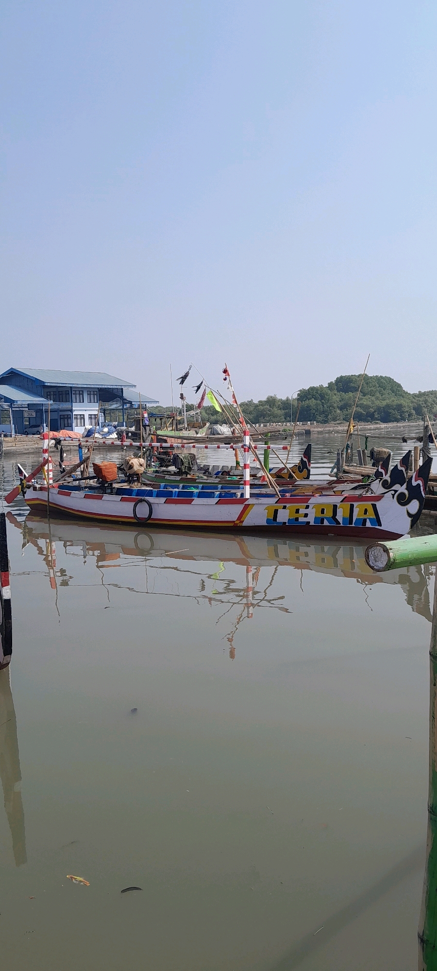 This image depicts a harbor scene in Pasuruan, Indonesia, likely in the north, given the flat landscape and proximity to the sea. The foreground is dominated by murky, calm water reflecting the sky and several traditional fishing boats. One prominent boat in the center is brightly painted with red, white, blue, and yellow stripes and the word "TERIA" is visible on its hull in yellow letters with black outlines. This boat is adorned with colorful flags and has several wooden poles extending upwards. Other boats are docked nearby, some with similar colorful decorations and flags. In the background, a long, blue building with a light-colored roof stands on the shore, possibly a processing facility or administrative building. Beyond the building, a dense line of green trees forms the horizon, suggesting a coastal mangrove area or lush vegetation. The sky is a pale, clear blue, indicating fair weather. There are no visible people actively engaged in any activity, and the scene appears peaceful and still. The overall impression is of a working harbor, likely involved in fishing or boat maintenance.