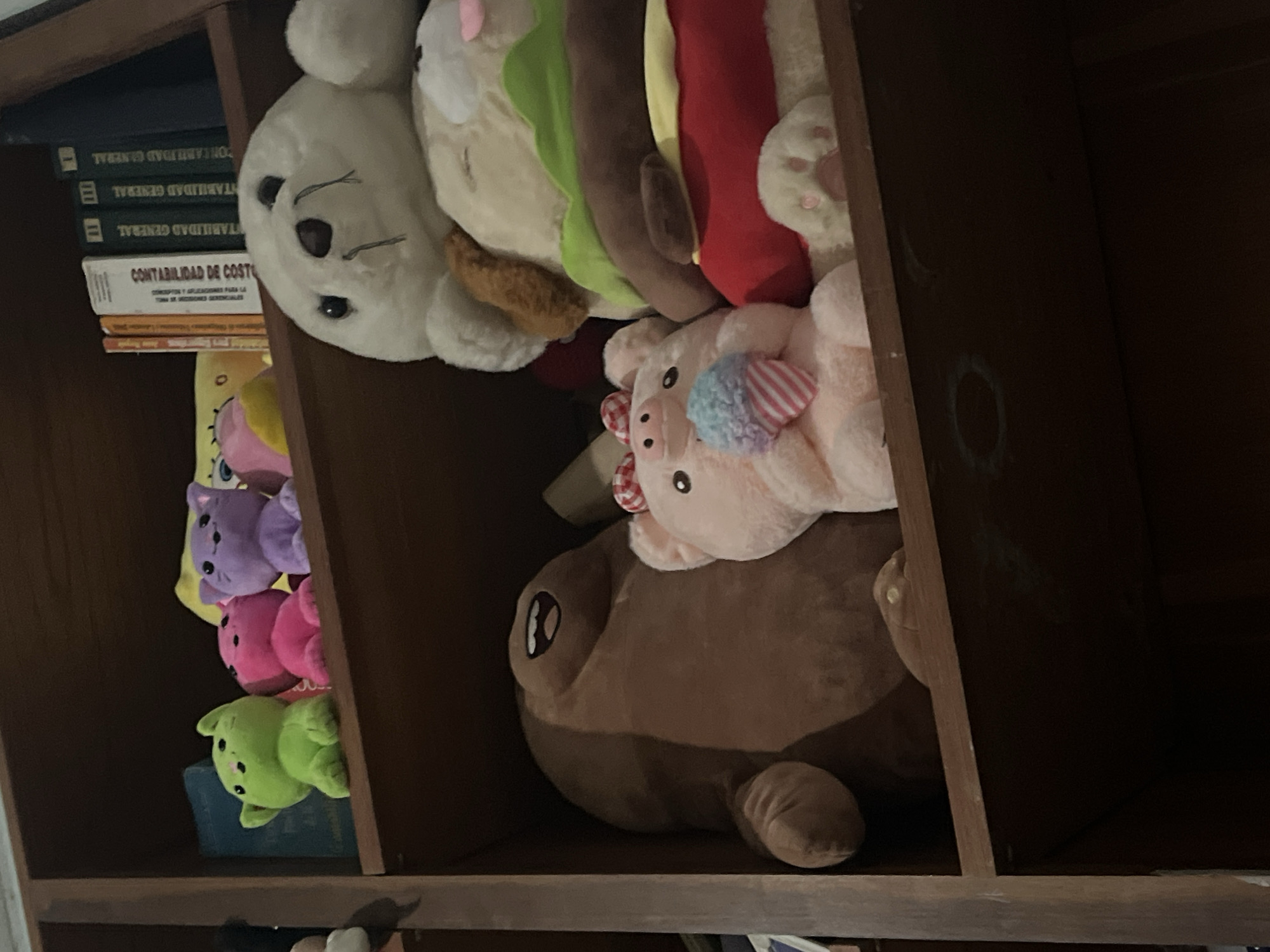 The image displays a close-up view of a wooden shelf filled with stuffed animals. On the top shelf, from left to right, are a lime green cat-shaped plush toy, a pink cat-shaped plush toy, a purple cat-shaped plush toy, and a yellow plush toy. Behind them are several books with titles including "CONTABILIDAD DE COSTO" and "CONTABILIDAD GENERAL". In the center of the top shelf is a large white plush toy resembling a seal, with dark eyes and stitching for a mouth.
On the shelf below, a large brown plush toy with an open mouth is on the left. To its right is a pink pig plush toy with a red and white checkered bow on its head and a blue and white striped ice cream cone in its paws. Behind the pig is a plush toy resembling a hamburger, with a red bottom bun, a yellow bun, green lettuce, a brown patty, and a light brown topping resembling a hot dog. The overall environment appears to be an indoor shelf, possibly in a residential setting. The image does not contain any information or visual cues that indicate its location in Santa Ana, Venezuela.