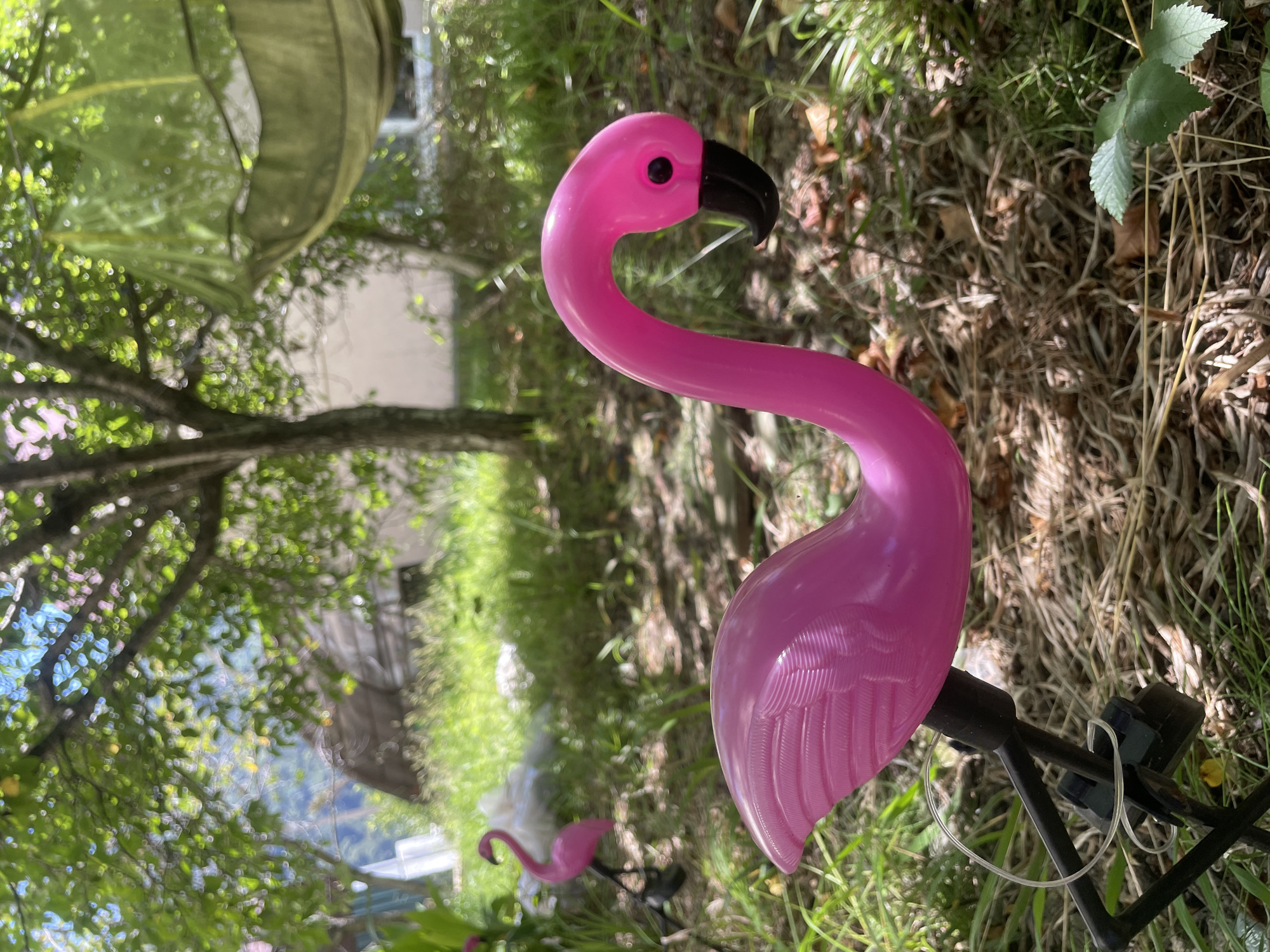 A pink plastic flamingo lawn ornament is in the foreground, angled to the right. Its body is a bright pink, with textured wing details. The flamingo has a black beak and a black eye. It is mounted on a black metal stake. To the left and further in the background, another pink flamingo ornament is visible, partially obscured by greenery. The ground is covered in dry grass and fallen leaves. In the background, there is lush green grass, trees with dappled sunlight filtering through their leaves, and a blurry white object. A green hammock is suspended from a tree in the upper right portion of the image. The scene appears to be an outdoor garden or yard setting. The image is located in Baranovka, Russia.