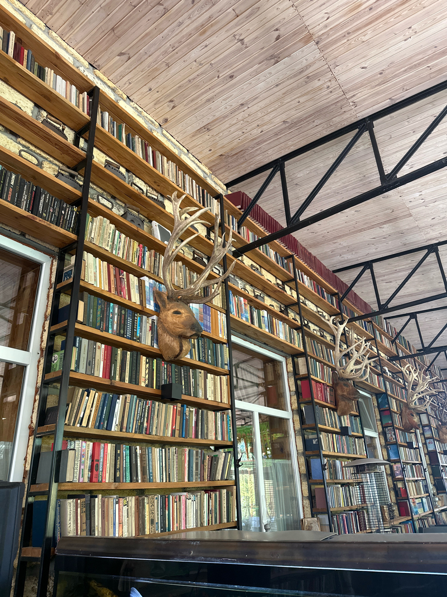 The image depicts a room with extensive bookshelves covering the walls. The bookshelves are made of wood and metal, and are filled with numerous books. Mounted on the shelves are taxidermied deer heads with large antlers. The ceiling is made of wooden planks and a black metal support structure is visible. There are windows with white frames, and through them, greenery and reflections of the interior are visible. In the foreground, a dark reflective surface, possibly a table or a display case, is present. The scene appears to be an indoor space, likely a library, study, or a unique establishment. The location is specified as Molodizhne, Ukraine. There are no people visible in the image. The overall atmosphere is one of a curated and somewhat eclectic interior design.