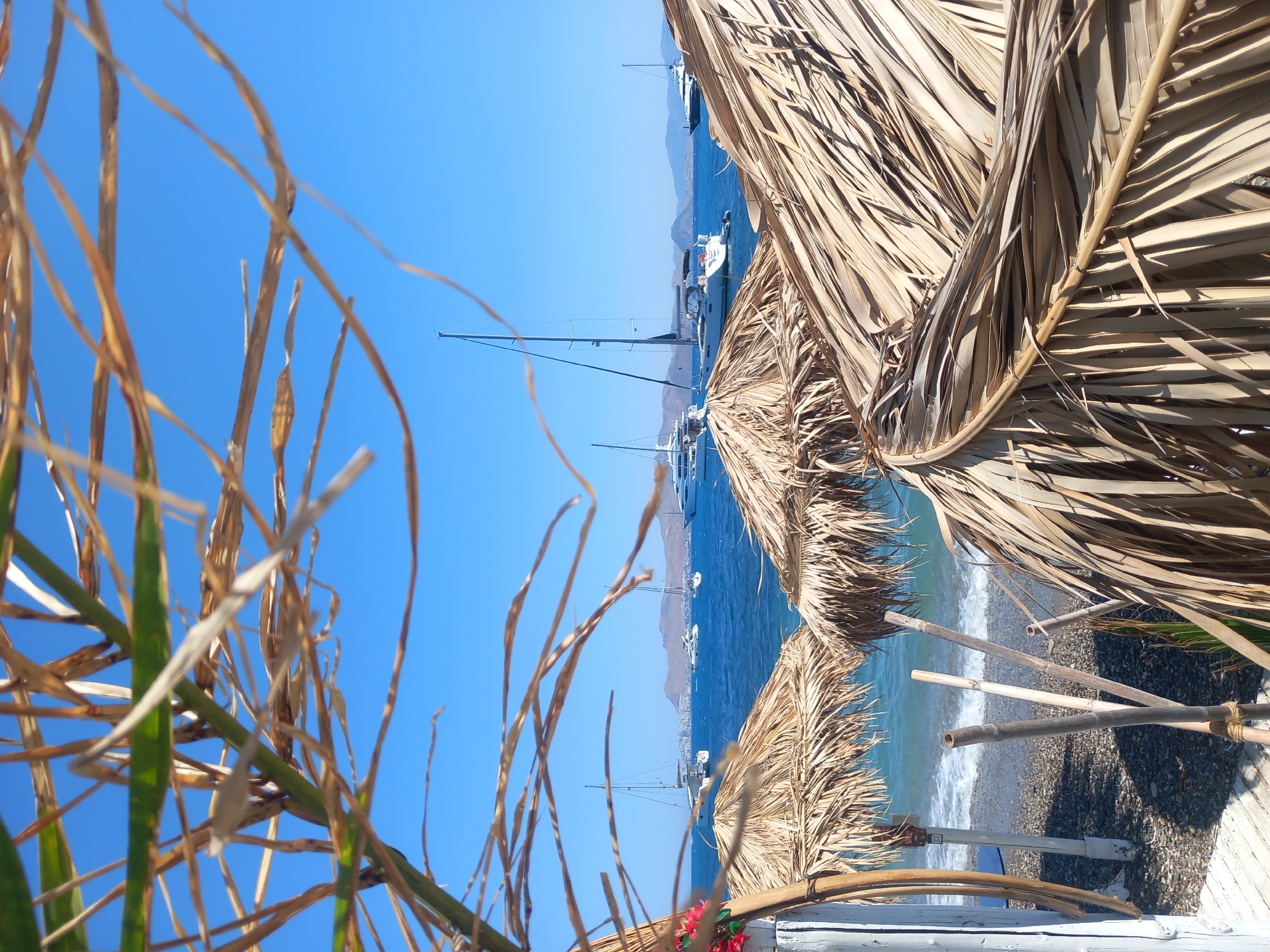 This is a photograph taken at a beach in Kos, Greece, likely in the city of Kos. The foreground is dominated by dry palm fronds, obscuring a view of a tropical beach scene. In the middle ground, two thatched umbrellas are visible, casting shadows on a pebble beach. The sea is a vibrant blue, with several sailboats and yachts anchored offshore. The horizon is marked by a distant coastline with hills. The sky is clear and blue. The overall impression is one of a sunny day at a popular tourist destination.
