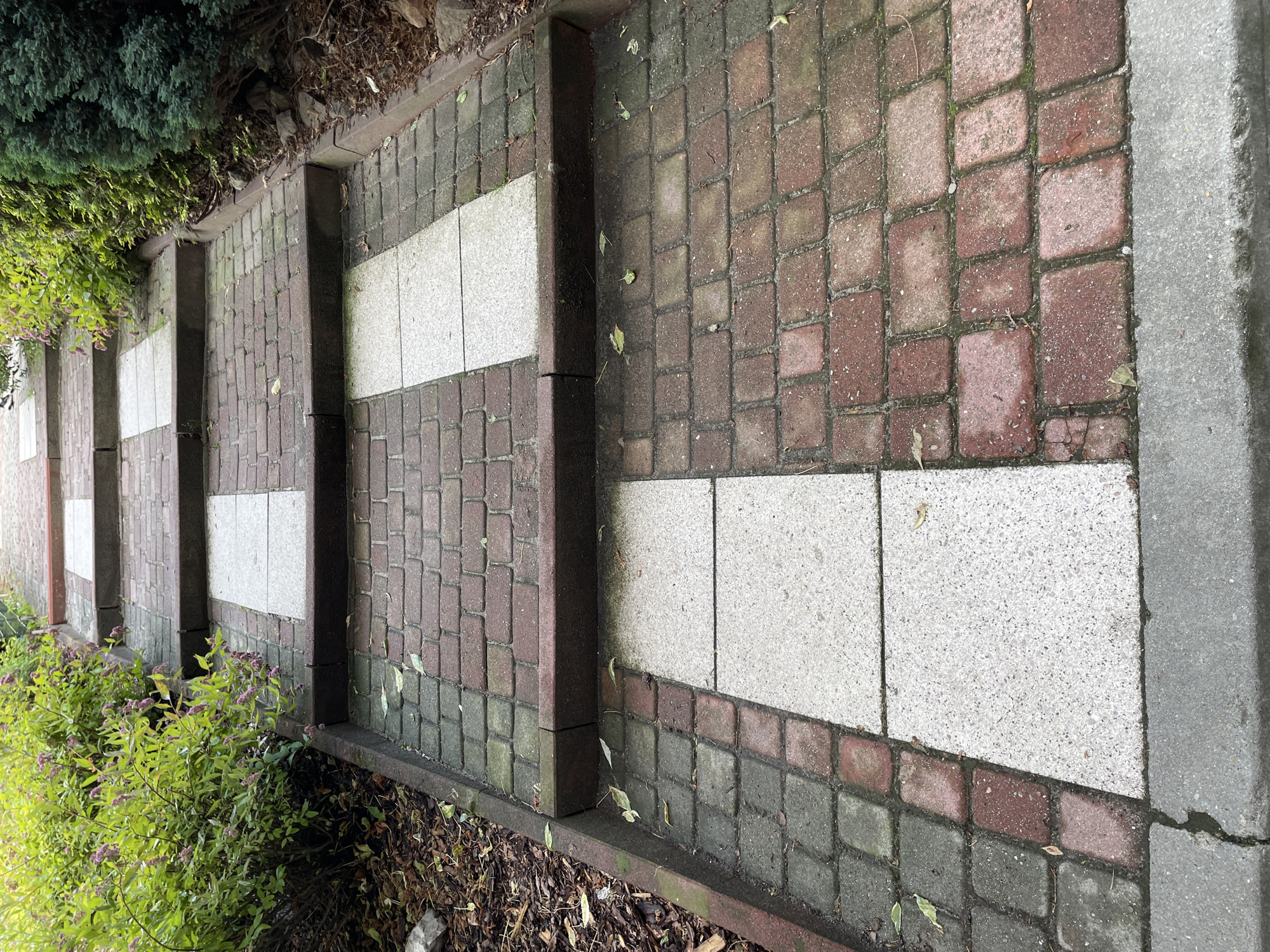 An outdoor, elevated perspective shot shows a set of stairs constructed from interlocking bricks and stone pavers, ascending a slight incline. The stairs are bordered by lush green foliage on the left and right sides. The brickwork on the steps alternates between reddish-brown and grayish-green bricks. In the center of each step, rectangular light-colored stone pavers are laid. The stairs are worn and some debris, such as leaves, are visible on them. The scene is set in a garden or park-like environment.