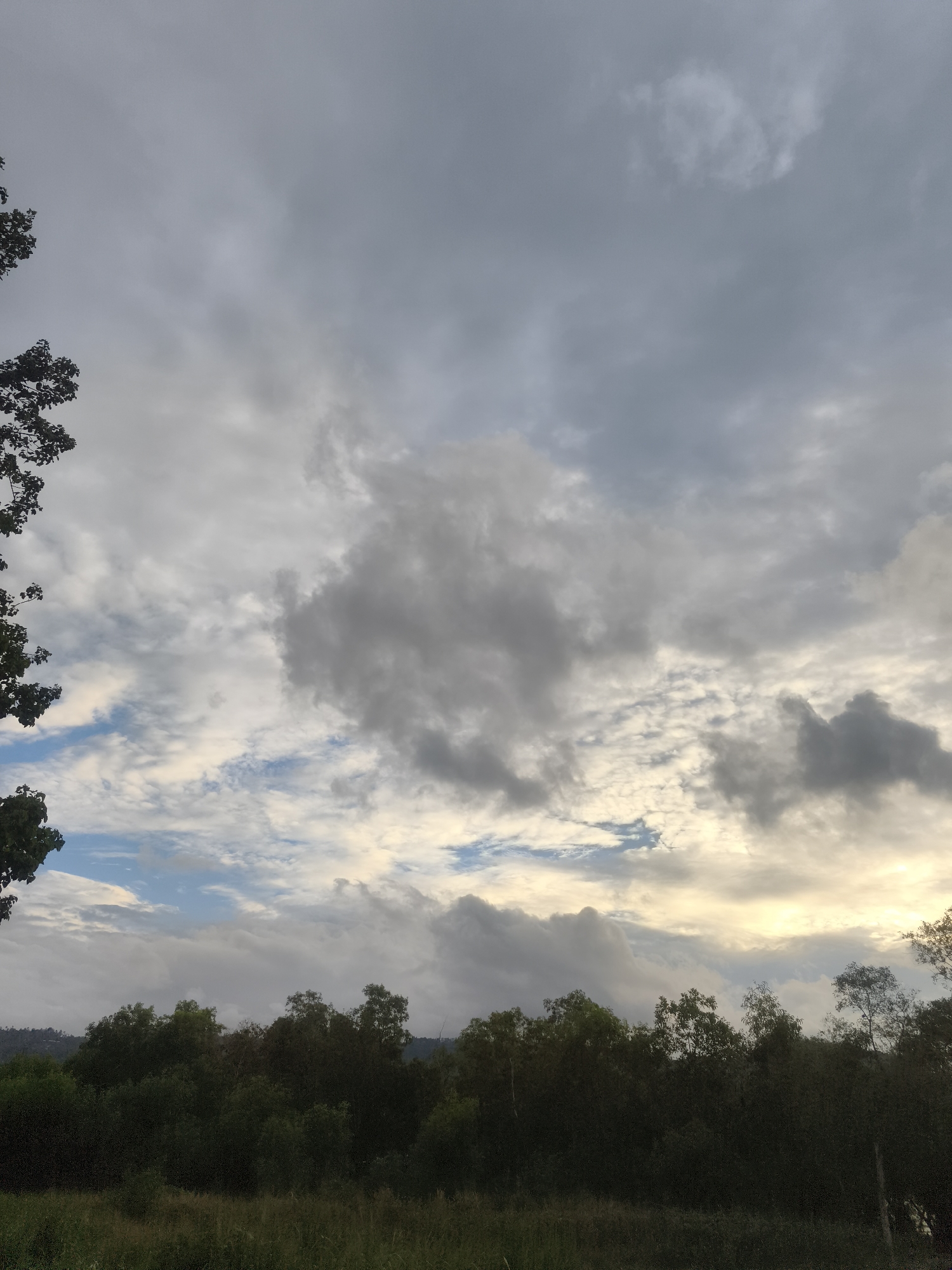 The media file presents a natural landscape dominated by a vast and dramatic sky, captured during either sunrise or sunset. The upper two-thirds of the image are filled with an extensive array of clouds, showcasing various formations from dark, heavy grey masses to lighter, more scattered white and grey clouds. Patches of clear blue sky are visible, particularly towards the lower left, offering glimpses beyond the cloud cover. A notable feature is the golden light breaking through the clouds near the right horizon, suggesting the position of the sun and casting a warm hue across the sky.
In the middle ground, a dense, dark green line of trees and bushes stretches horizontally across the frame, forming a natural barrier that obscures the distant horizon. The foliage appears lush, typical of a tropical environment. To the far left, the dark branches and leaves of a larger, unseen tree partially frame the composition. The immediate foreground consists of a strip of lighter green, possibly grassy or low-lying vegetation.
There are no people, animals, man-made objects, or visible text in the image. The scene conveys a sense of tranquility and natural beauty. The dynamic sky with its interplay of dark clouds and golden light indicates either dawn or dusk, creating an atmospheric mood. The lush vegetation aligns with the provided location context of บ้านบางรักษ์, Thailand. The weather appears overcast, but with intermittent breakthroughs of sunlight.