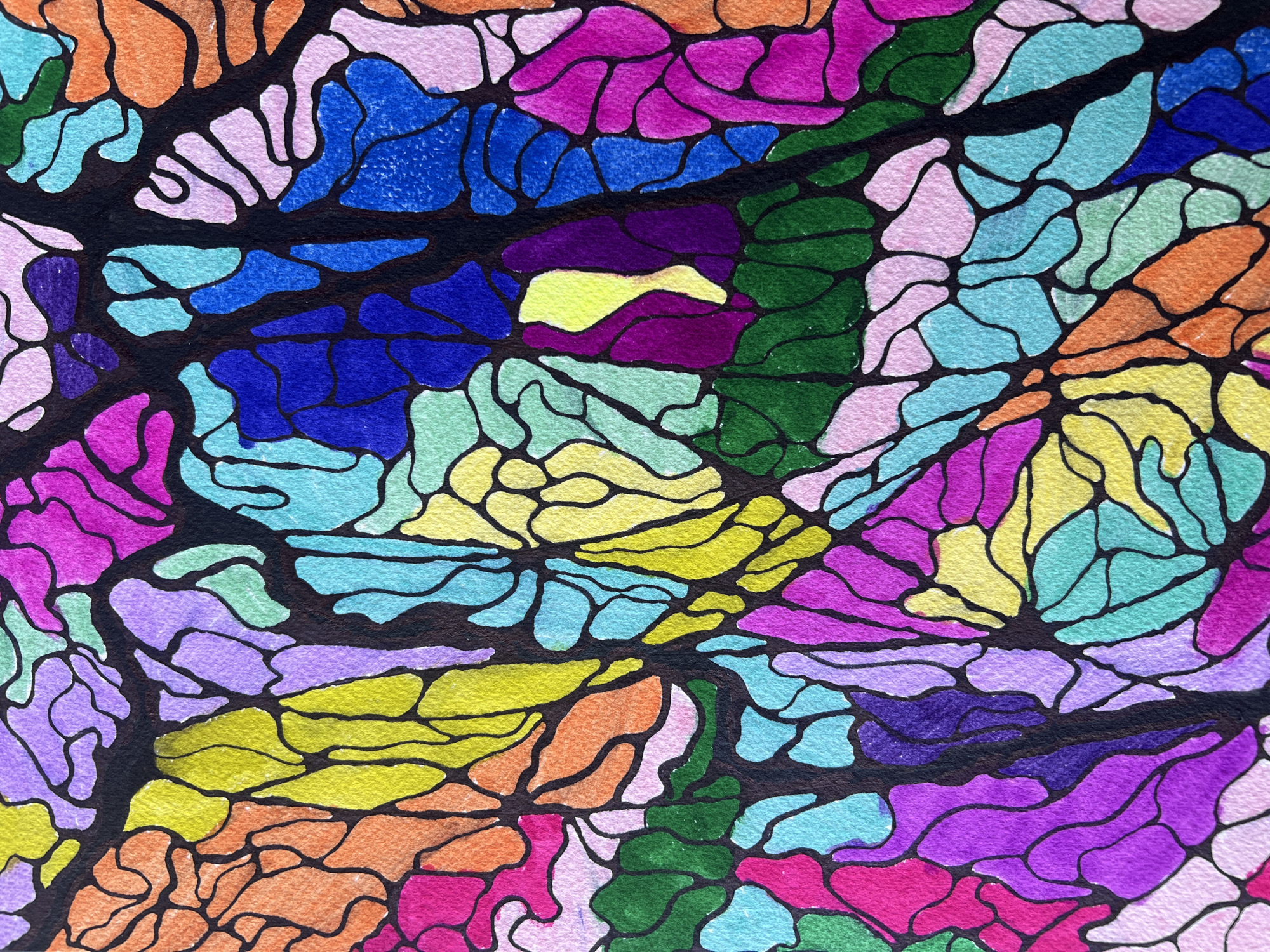 This is a close-up, abstract, watercolor painting with black outlines that mimic stained glass. The image is filled with irregularly shaped, tessellating cells, each colored with a different hue. The colors are vibrant and varied, including shades of pink, purple, blue, yellow, green, and orange. The texture of the watercolor paper is visible, giving the painting a slightly rough, tactile quality. The black lines are bold and define the boundaries of each colored cell, creating a mosaic-like effect. The composition is organic and flowing, suggesting natural forms like branches, veins, or cellular structures, but rendered abstractly. There are no discernible people, objects, or a specific scene or setting depicted. The image is purely an abstract play of color and form. The activity, if any can be inferred, is the artistic creation of this colorful pattern. No time of day, weather, or location cues are present, and there is no visible text. The overall impression is one of vibrancy, complexity, and a decorative, abstract beauty.