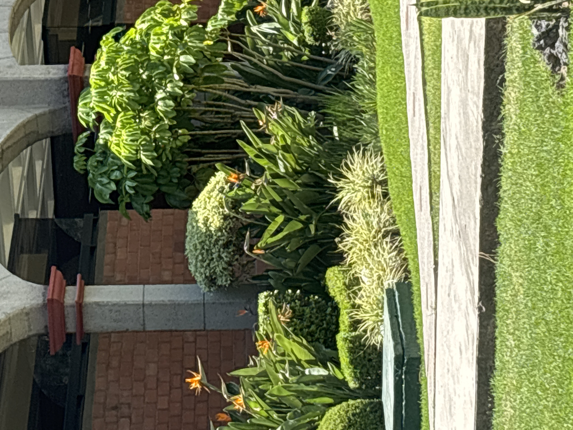 A building facade and garden are visible in this image. The facade is brick with a grey stone arch. A lush garden with a variety of greenery including shrubs, and flowers, abuts the building. A white-paved walkway is on the edge of the garden.
While the location is specified as San Andrés Cholula, Mexico, there is no explicit evidence in the image itself to confirm the exact location. Additional forensic information, such as the architectural style, plant species native to the area, or any identifiable signage, would be needed to verify this claim.