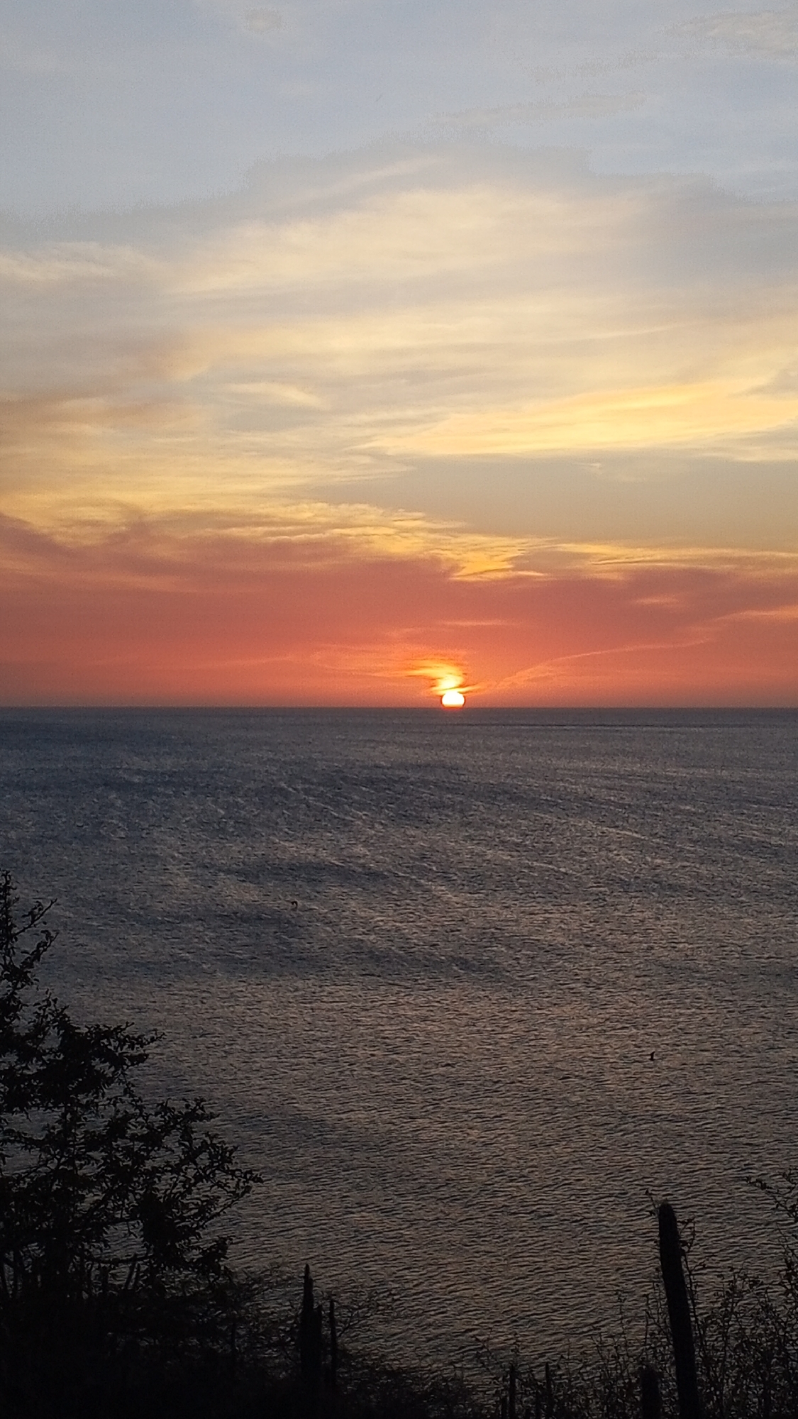 The image captures a sunset over the sea near Juan Griego, Venezuela. The sun is partially submerged on the horizon, casting an orange glow on the water and the lower part of the sky. The sky transitions from orange to yellow to pale blue at the top. The water surface is rippled, reflecting the colors of the sunset. The foreground features silhouettes of trees and cacti, indicating a coastal landscape.