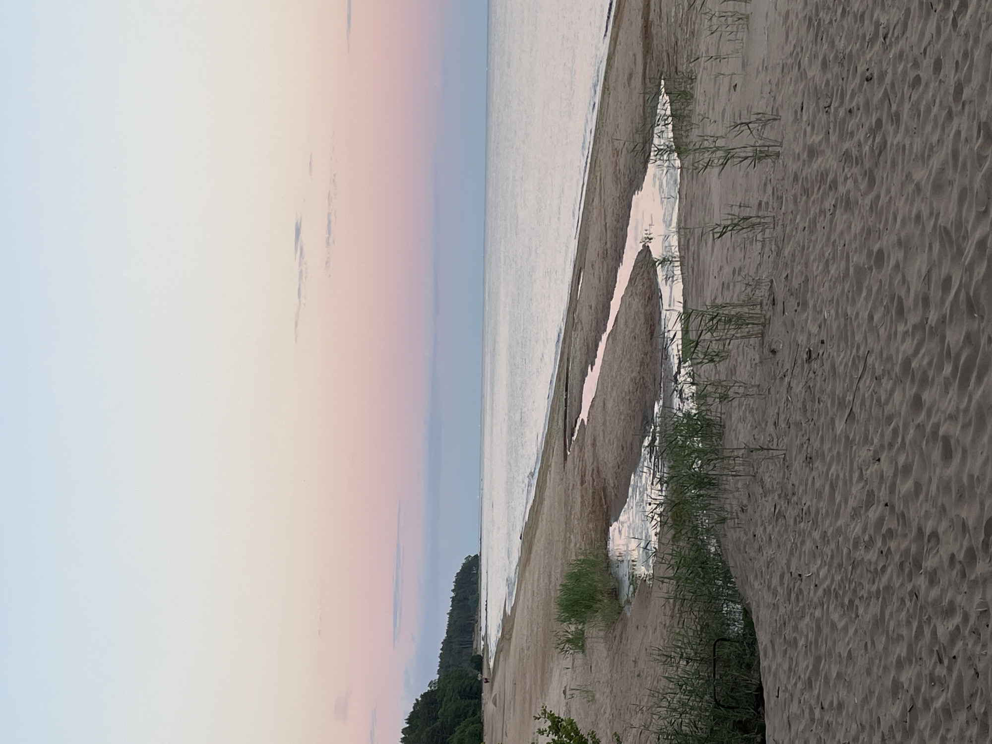 A wide shot of a sandy beach shows a calm sea and a pale pink and blue sky at dusk. The beach is mostly empty, with a few scattered clumps of tall grass and some shallow pools of water reflecting the sky. In the distance, a dark green forest lines the coast, and a thin line of trees can be seen on the horizon. The scene is serene and quiet, with no visible people or structures.
