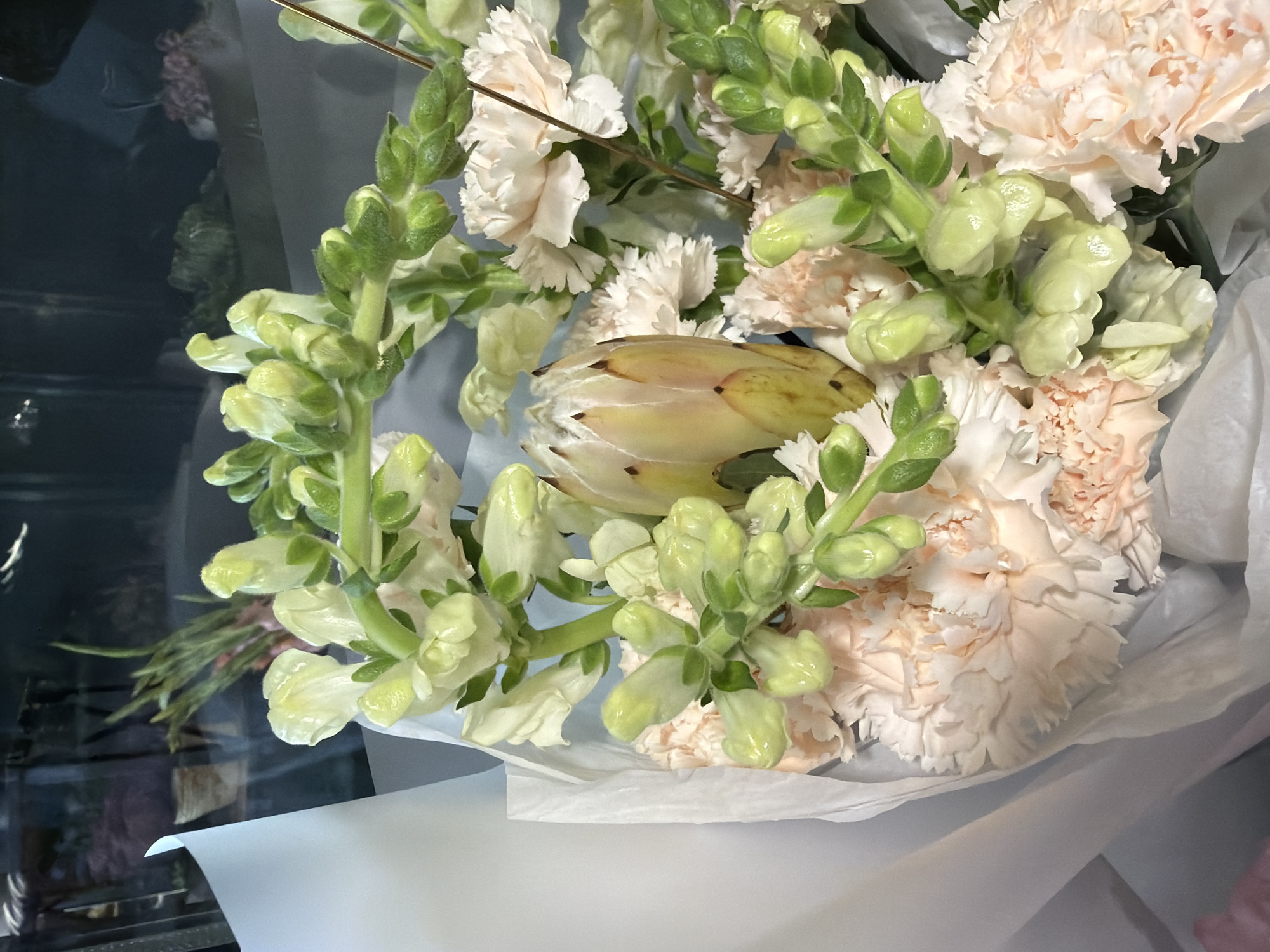 A close-up, eye-level shot captures a bouquet of flowers. The bouquet is predominantly comprised of pale pink carnations and tall stalks of light green snapdragons. In the center of the arrangement, a single, large, pale yellow protea with delicate brown tips is visible. The bouquet is partially wrapped in white tissue paper, with a light blue paper visible underneath. The background is dark and out of focus, appearing to be a reflective surface, possibly glass, with faint glimpses of other plants and floral arrangements. The lighting is soft, highlighting the textures of the petals and buds. There are no people or discernible actions present in the image. The location is Unknown, Unknown.