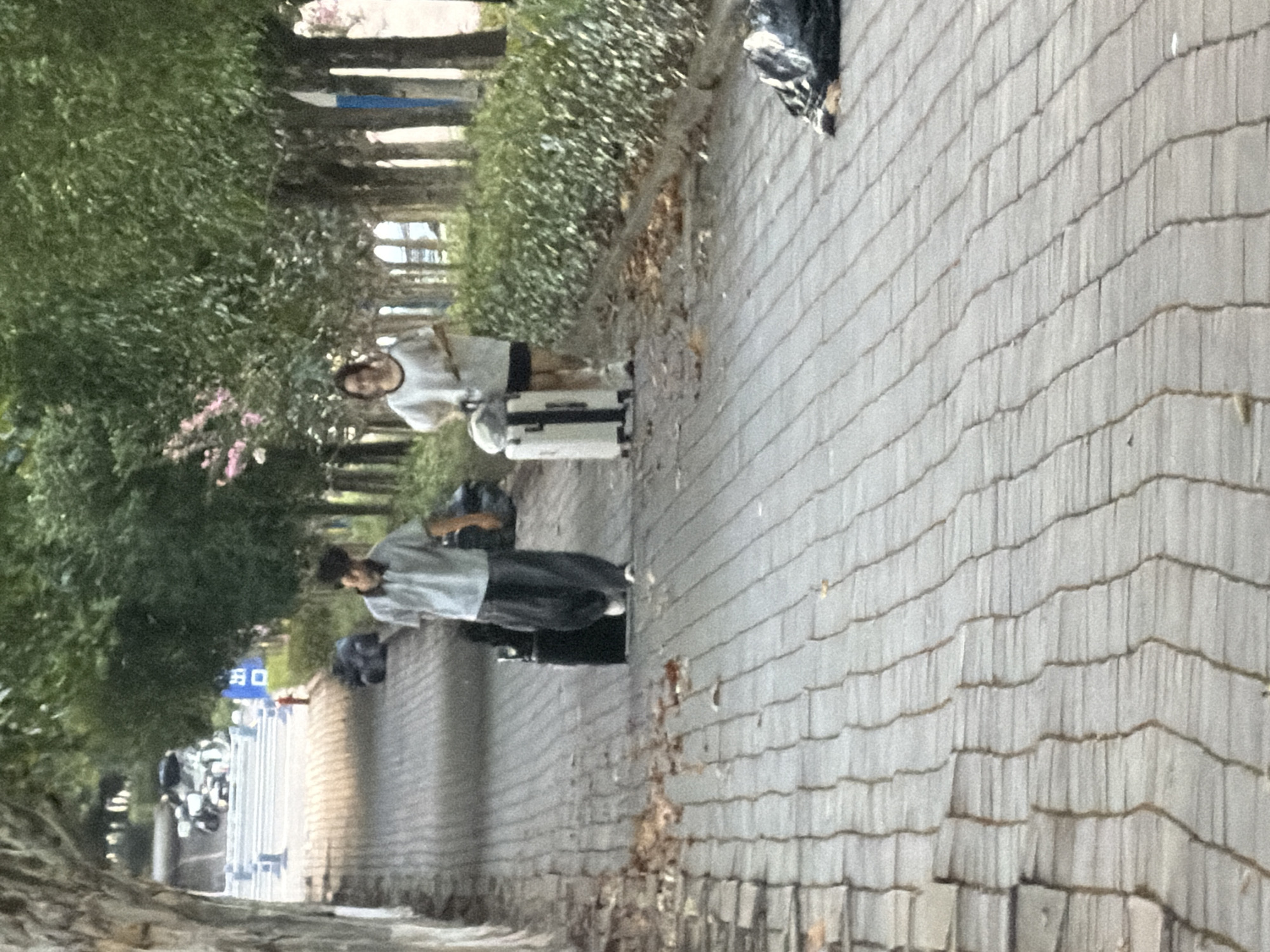 Two individuals, a male and a female, are walking on a paved walkway lined with trees. The male, on the left, is wearing a light-colored polo shirt and dark pants, pulling a black wheeled suitcase. The female, on the right, is wearing a white t-shirt and dark shorts, also pulling a white wheeled suitcase. The walkway appears to be in a park or campus setting, with a slight incline. In the background, there are more trees and some distant structures. The ground is paved with rectangular bricks. A black trash bag is visible on the right side of the walkway. The scene appears to be during daylight. The location is identified as Jiangjin City, China.