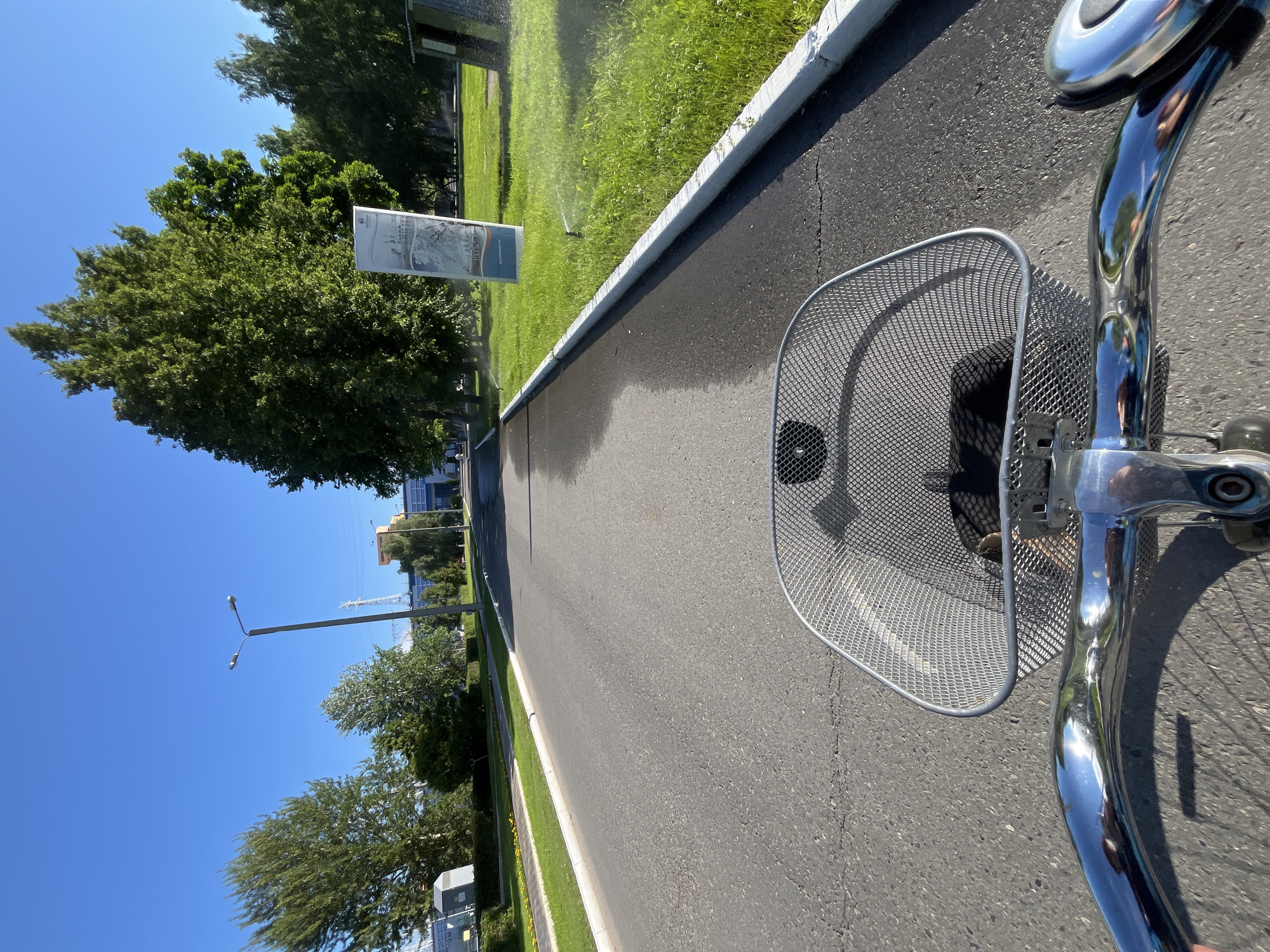 The image depicts a first-person view from a bicycle traveling on an asphalt road. The bicycle has a silver metal basket attached to the handlebars, and the handlebars themselves are shiny and reflective. In the basket, a dark object, possibly a bag or clothing, is visible. The road appears to be a secondary city street, with a white concrete curb on the right side. To the right of the curb, a well-maintained lawn is being watered by sprinklers. In the distance, a large informational sign is positioned in the grassy area. The environment is urban, with trees lining the street and industrial-looking buildings visible in the background. A street lamp is also present. The sky is clear and blue. Based on the context provided, this scene is likely located in the city of Chaikovsky, Russia.