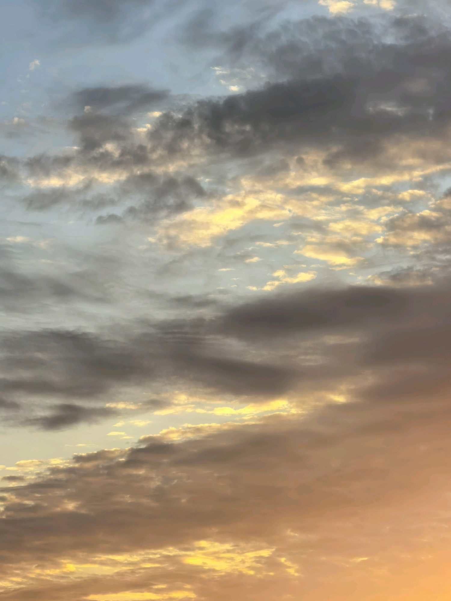 The image is a vertical, medium shot of a sky filled with dramatic clouds. The clouds are a mix of dark grays and whites, illuminated by a warm, golden light, suggesting a sunrise or sunset. The lighting creates a sense of depth and texture within the cloud formations. The lower portion of the image transitions into hues of orange and yellow, indicating the direction of the light source. There are no discernible landmarks, people, or man-made objects in the scene. The setting is an outdoor environment, specifically the sky.