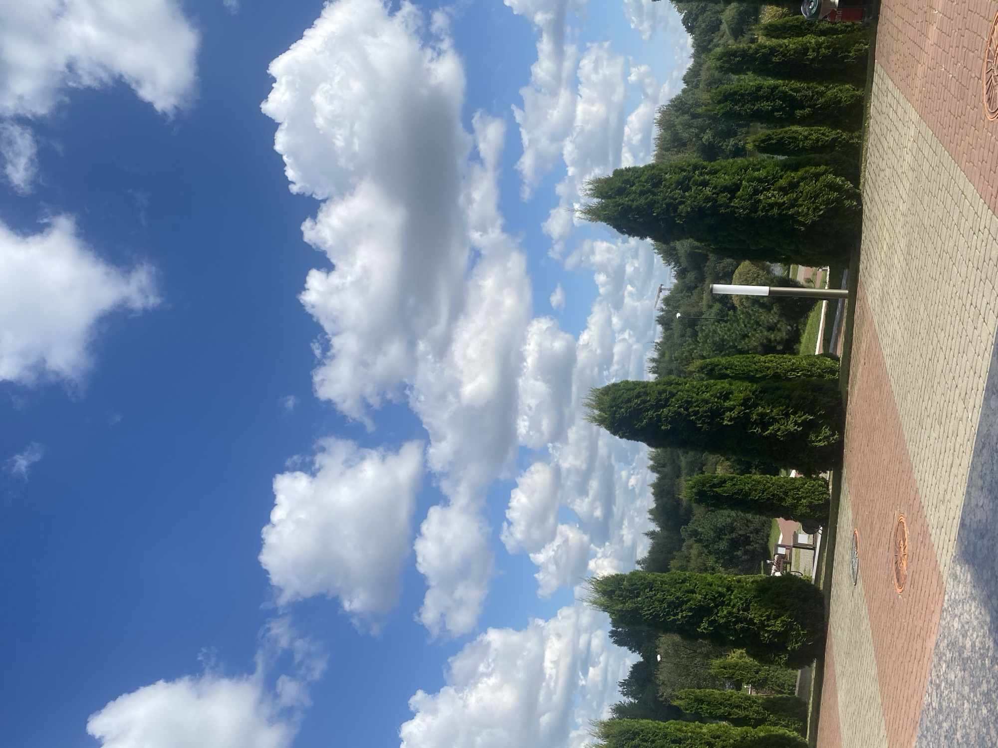 The image depicts a sunlit day with a bright blue sky filled with fluffy white clouds. In the foreground, a paved walkway made of reddish-brown and beige interlocking bricks is visible. Several circular metal grates are embedded in the walkway. A line of tall, conical evergreen trees stands behind the walkway, forming a neat border. Beyond the trees, a dense forest of deciduous trees stretches across the background. A tall, modern lamp post with a white cylindrical shade stands among the trees. In the middle ground, there appears to be a body of water, possibly a lake or river, and hints of park benches and a bicycle are visible through the foliage. The overall scene suggests a well-maintained park or public outdoor space in a city. This is a view of the **area around the Minsk Sea (Zaslavskoye Reservoir) near the city of Minsk, Belarus**.