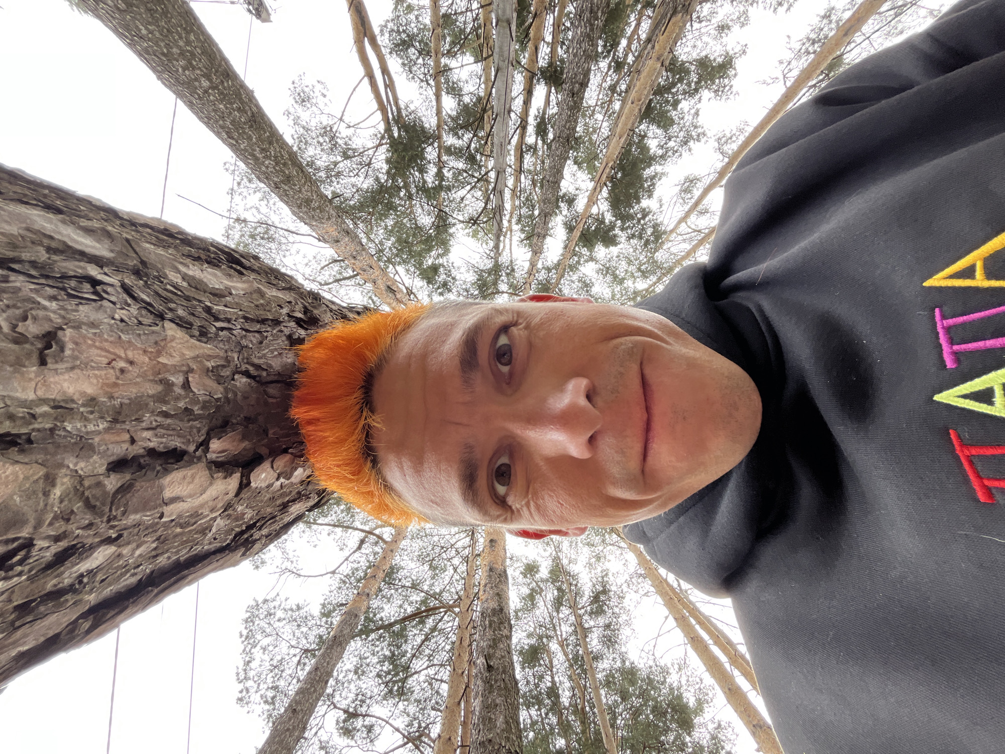 The image is a low-angle perspective, looking upwards into a forest. An adult male individual with short, vibrant orange-dyed hair, exhibiting natural grey/white at the temples, is positioned in the lower right and center of the frame. He has fair skin with visible fine lines around his eyes and forehead and gazes directly towards the camera with a neutral, observant expression. He wears a black hooded sweatshirt featuring multicolored embroidery on the chest, partially visible, which includes a yellow triangular shape, a pink vertical segment, and a red vertical segment.
To the immediate left, a large, deeply textured, brownish-grey tree trunk, consistent with a pine tree, dominates the left third of the image, appearing very close to the camera. Behind the individual and the foreground tree, numerous tall, slender pine trees rise vertically against an overcast, bright white to light grey sky. Their rough bark and sparse green-grey needle-like foliage indicate a coniferous forest. Thin, dark lines, resembling wires or ropes, are visible strung between some of the distant trees in the upper left quadrant. The scene takes place in a wooded area in Chaikovsky, Russia.