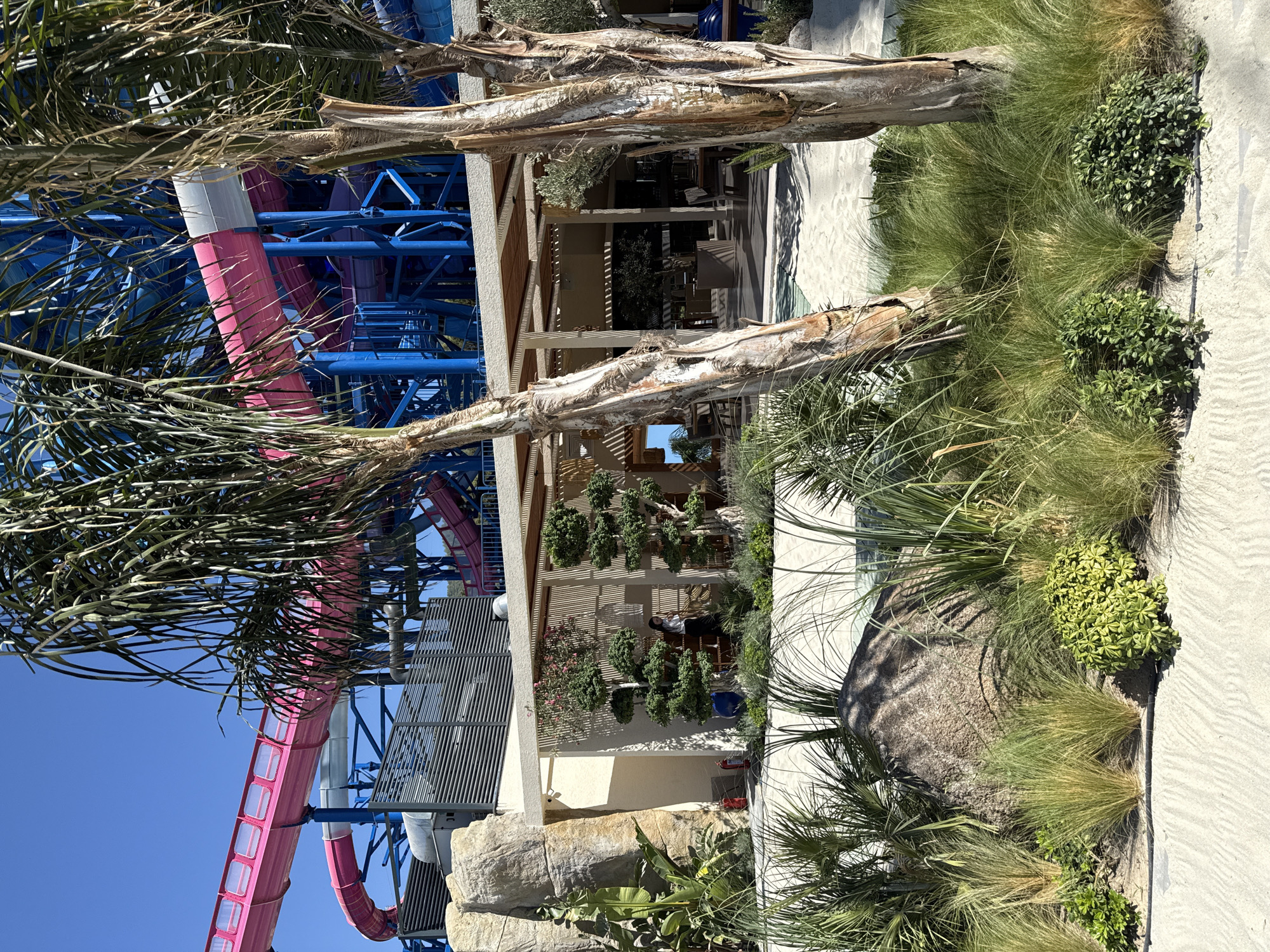 The image depicts a vibrant water park scene under a clear blue sky in Bodrum, Turkey. In the background, prominent pink and blue water slides dominate the landscape, supported by a complex blue metal structure. In the foreground, lush green palm trees with textured bark stand tall. Between the palm trees, a modern, open-air structure with a wooden slatted roof provides shade. Several bonsai-like trees are neatly arranged within this shaded area, and one person, a woman in dark pants and a white top, is visible standing inside. Red fire extinguishers are mounted on the wall behind the bonsai. The ground is covered with sand, and there is a diverse arrangement of grasses and bushes in the immediate foreground, with a large rock partially visible. The overall impression is one of a well-maintained recreational area designed for a tropical or Mediterranean setting.