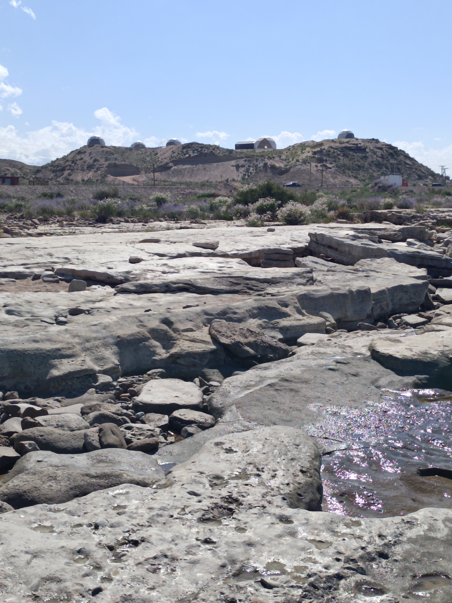 This is an outdoor, eye-level, vertical shot of the observatory domes atop a hill. The foreground is dominated by a dry, rocky riverbed with large, flat stones and smaller pebbles. Some patches of water, reflecting the sunlight, are visible in the lower right corner. Beyond the riverbed, a gentle slope leads up to a barren hill. Scattered shrubs and flowering plants in shades of green and lavender dot the landscape. At the crest of the hill, several large, white, domed structures, likely observatory buildings, are visible. Two cars are parked on the side of a road that winds up the hill. The sky is a clear blue with a few scattered white clouds. The scene appears to be in a dry, arid environment. The location is the Tian Shan Astronomical Observatory, near Bishkek, Kyrgyzstan.