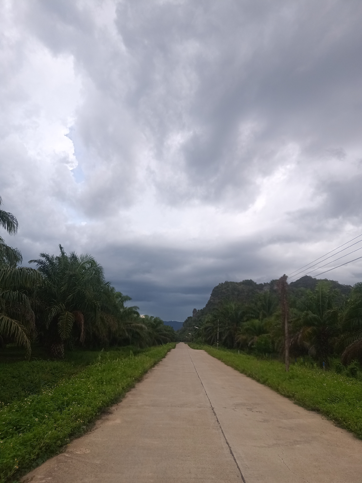 The image depicts a concrete road stretching into the distance under a cloudy sky. The location is Pak Phraek, Thailand. The road is bordered on both sides by lush green vegetation with palm trees and grasses. In the distance, a mountainous formation can be seen. Overhead wires extend across the sky to the right. There are no people or animals visible in the scene.