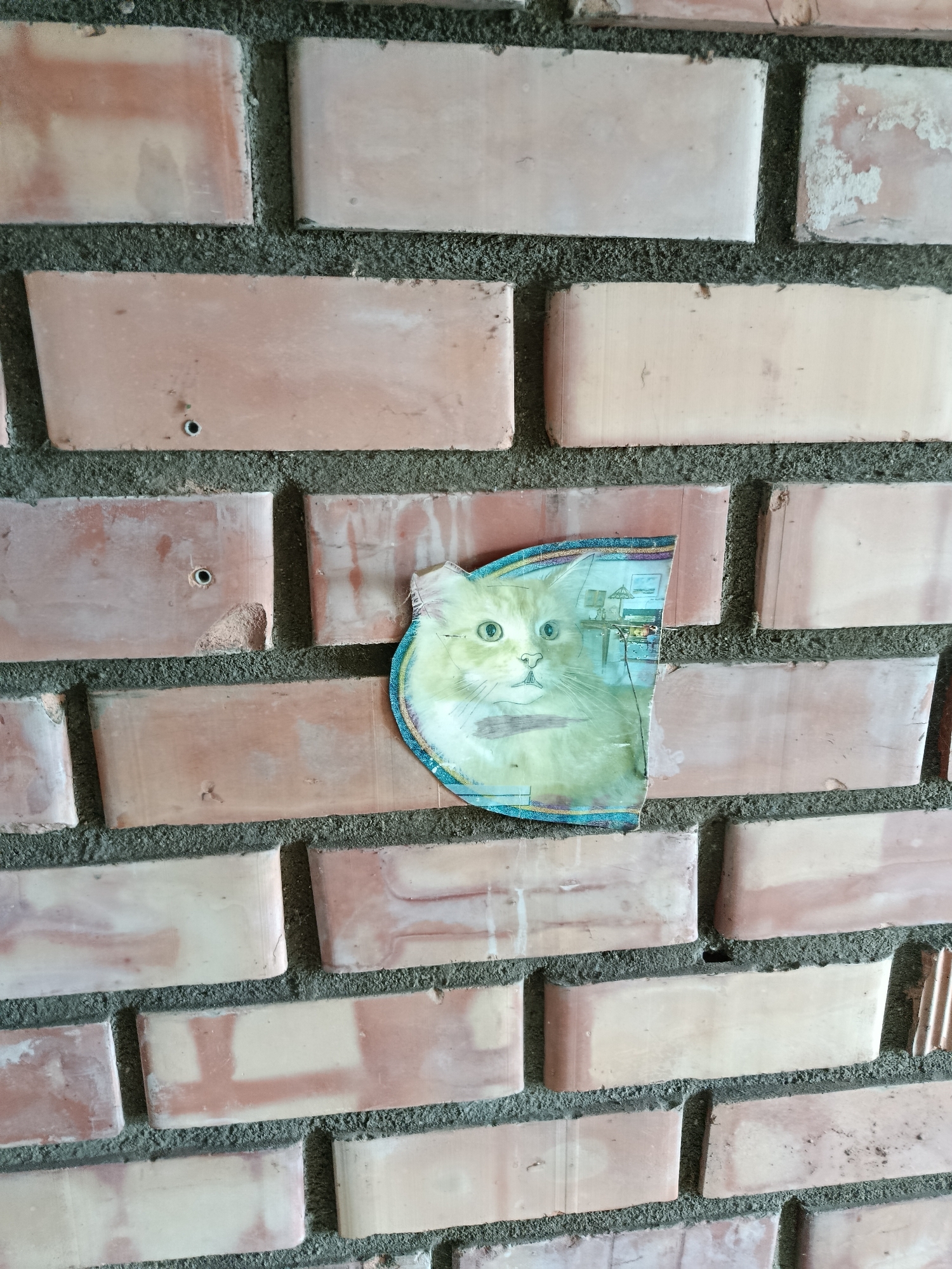 A close-up, slightly angled shot captures a segment of a brick wall in Smilavichy rural council, Belarus. The wall is constructed from unevenly colored, weathered bricks, varying in shades of light pink, beige, and rust. The mortar between the bricks is a dark gray, showing some roughness and debris. Affixed to the bricks, off-center to the right, is a torn, laminated image of a fluffy, light yellow cat with striking green eyes. The cat's face is the primary focus of the image, with its whiskers and some of its body visible. Behind the cat's head, a small section of what appears to be a domestic interior scene is visible within the laminated image, including what looks like furniture and possibly artwork on a wall. The lighting suggests an outdoor or well-lit indoor environment, with no shadows indicating a specific time of day or direction of light.